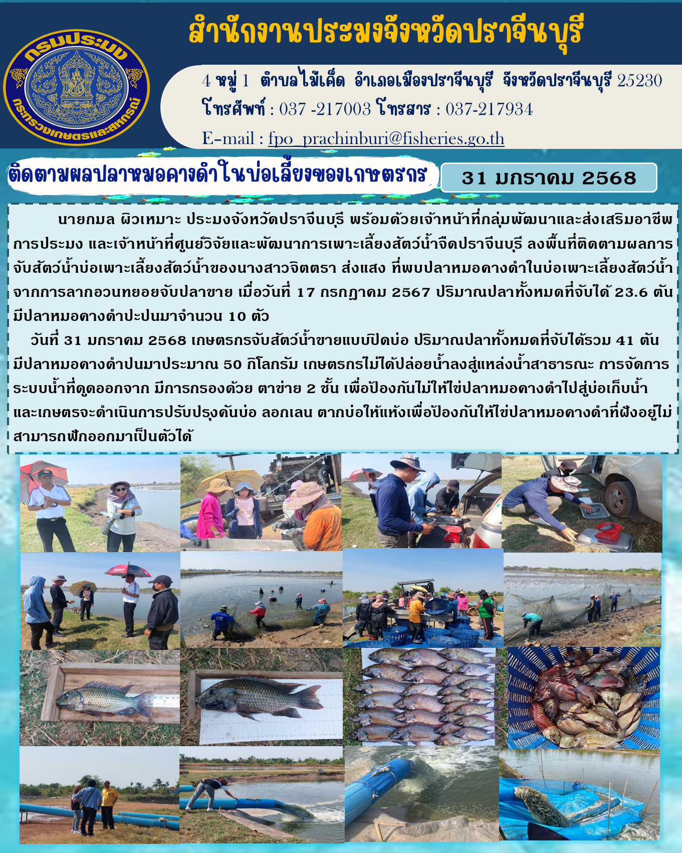 ข่าวประชาสัมพันธ์ ติดตามผลปลาหมอคางดำในบ่อเลี้ยงของเกษตรกร..คลิก
