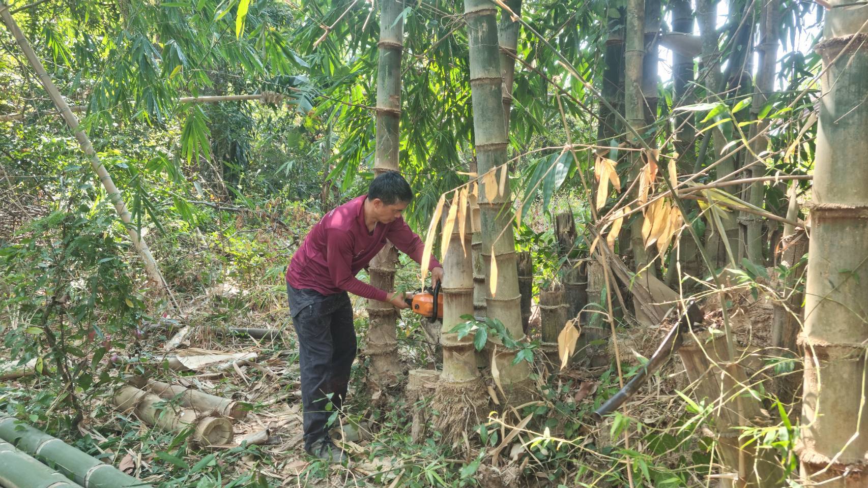 ประมงอุบลฯ ลงพื้นที่เพื่อจัดเตรียมสถานที่จัดแสดงนิทรรศการด้านการประมง งานเกษตรอีสานใต้ ครั้งที่ 16 ณ คณะเกษตรศาสตร์ มหาวิทยาลัยอุบลราชธานี..คลิก
