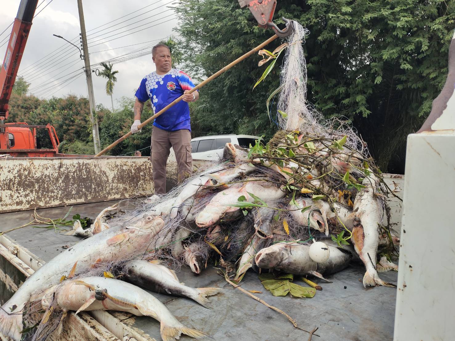 (อ.บางใหญ่) ลงพื้นที่ตรวจสอบการลักลอบจับปลาบริเวณหน้าวัดเทพนิมิต