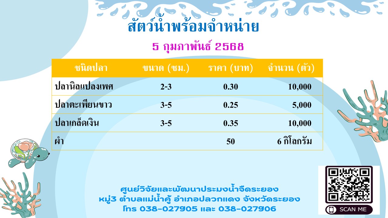สัตว์น้ำพร้อมจำหน่าย วันที่ 5 กุมภาพันธ์ 2568..คลิก
