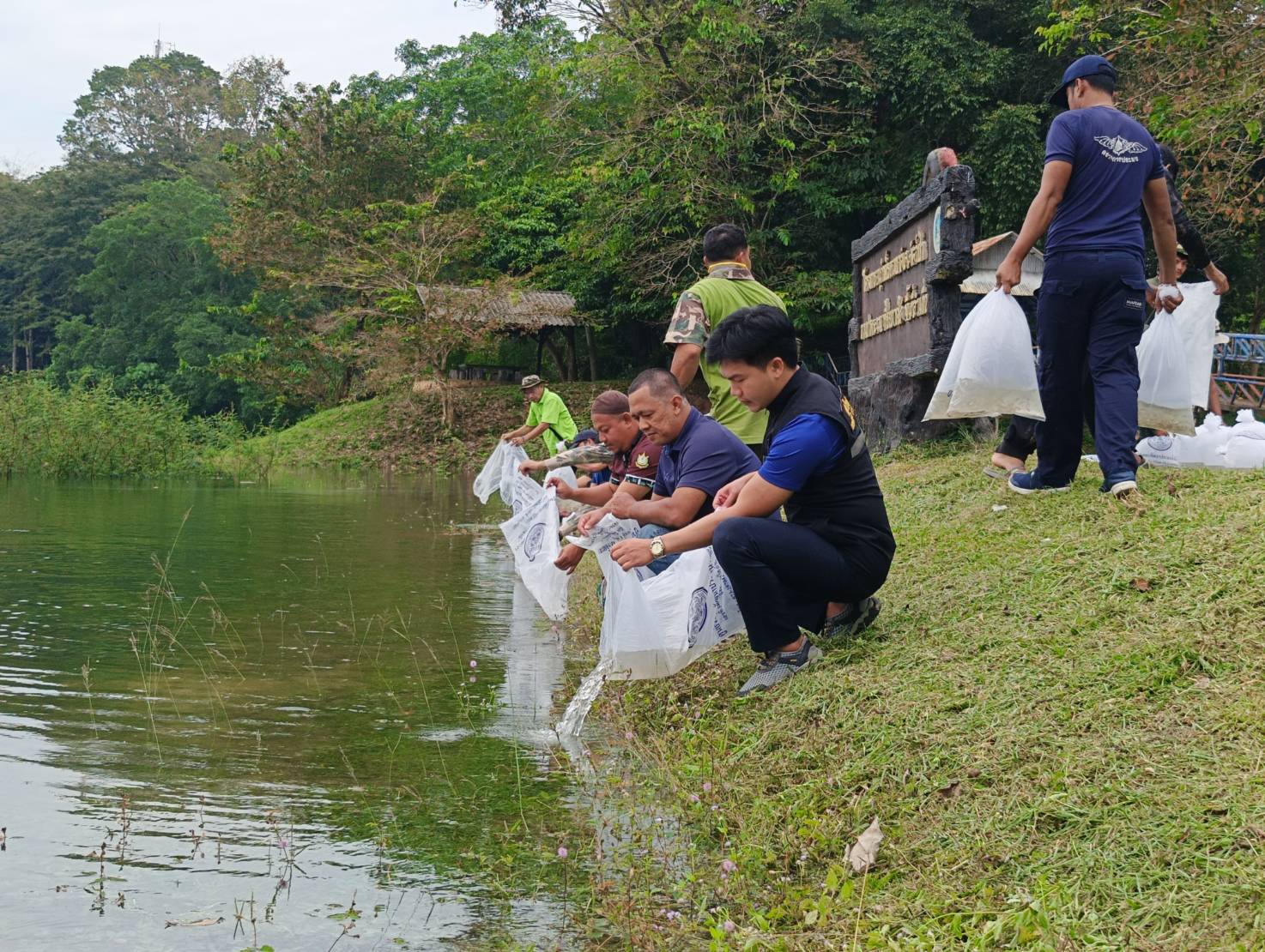 ภาพกิจกรรมร่วมปล่อยพันธุ์สัตว์น้ำจืด (ปลาขี้ขม) จำนวน 12,000 ตัว เพื่อเพิ่มทรัพยากรสัตว์น้ำในเขื่อนบางลางให้มากยิ่งขึ้น ทั้งนี้ได้สร้างความรู้ความเข้าใจเกี่ยวกับข้อกฎหมาย..คลิก