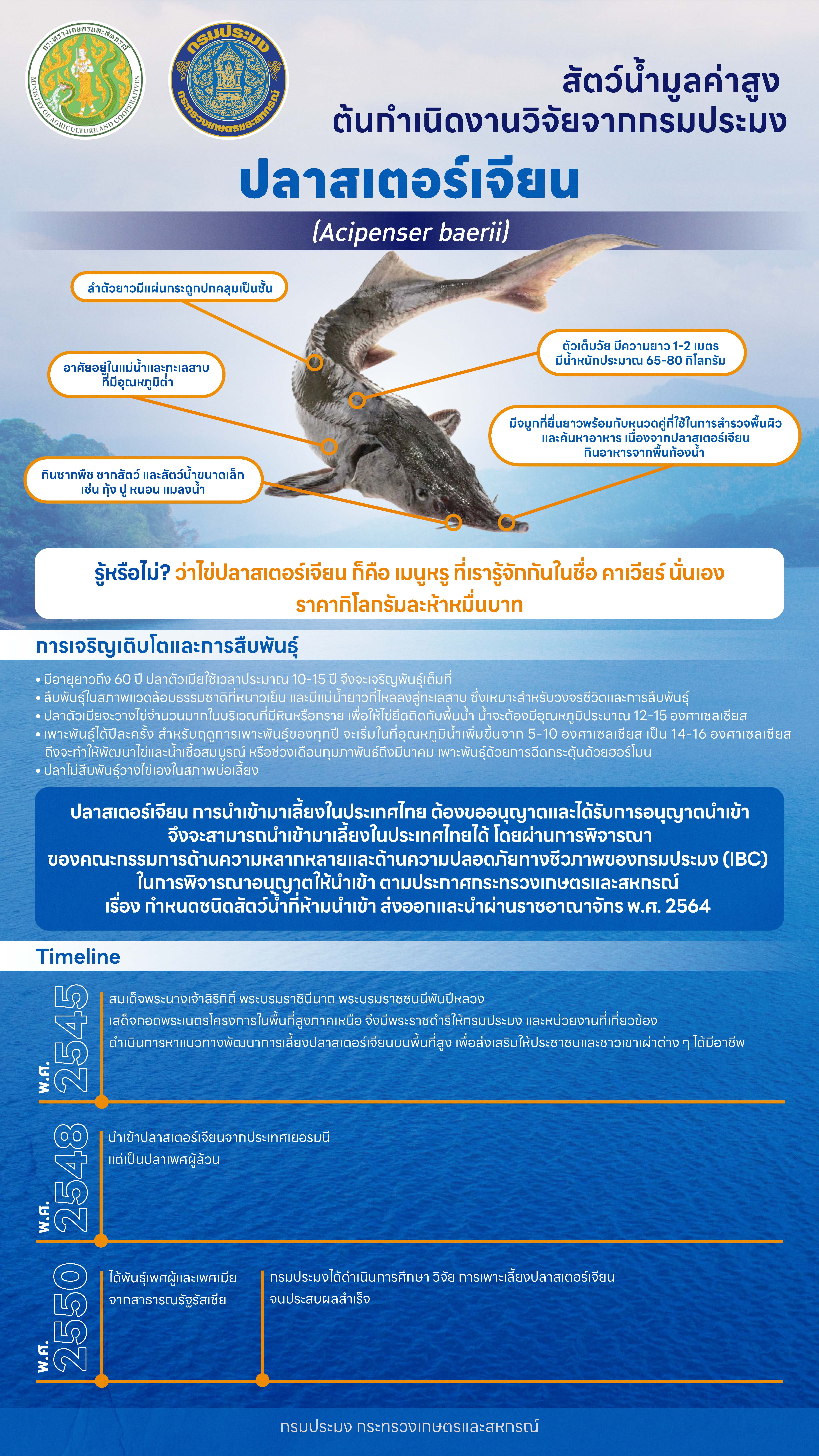 ปลาสเตอร์เจียน