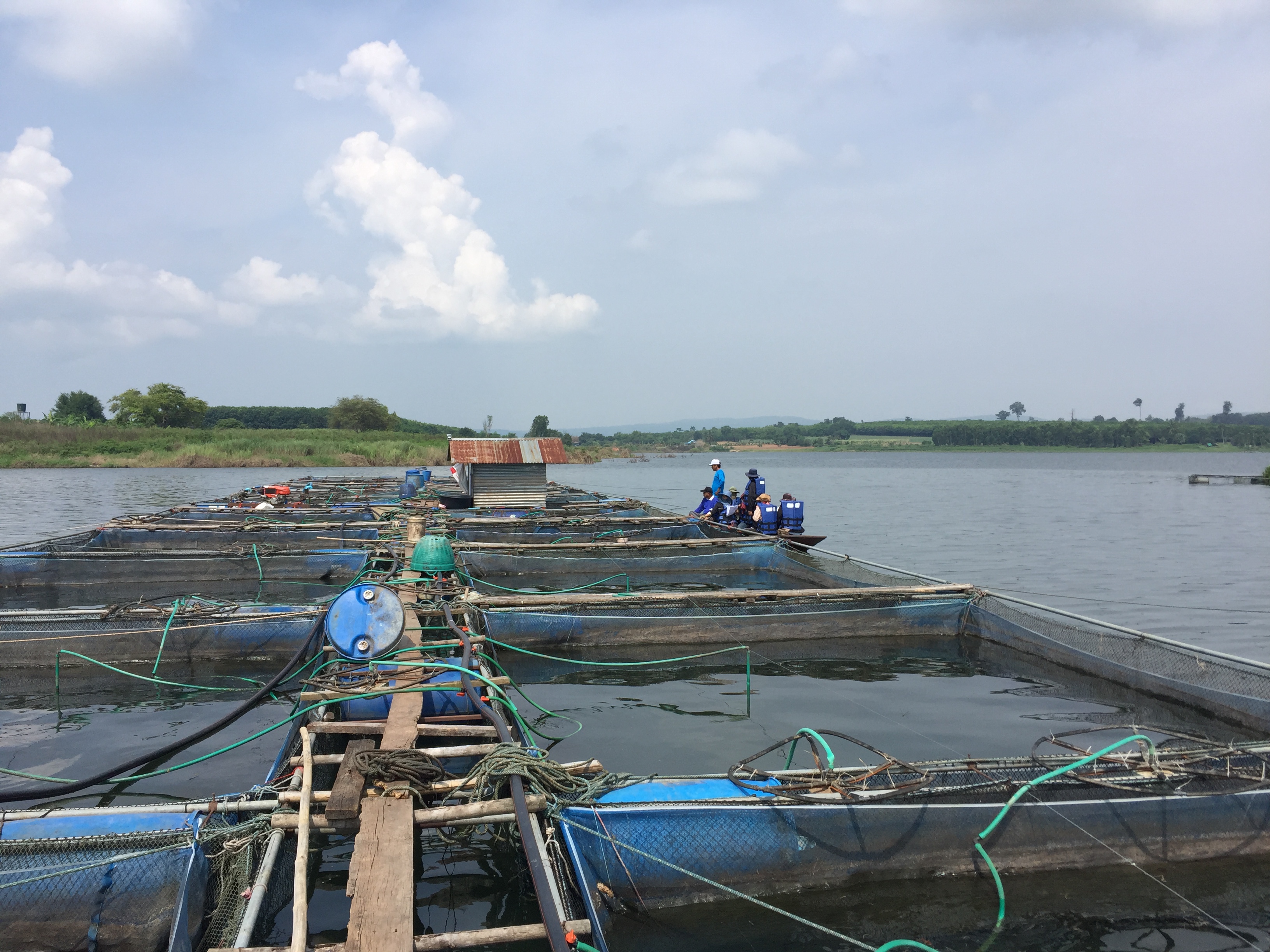 ประกาศสำนักงานประมงจังหวัดชัยภูมิ