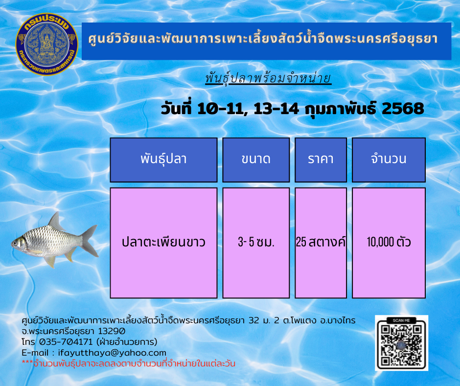 ชนิดพันธุ์สัตว์น้ำพร้อมจำหน่าย 10-11, 13-14 กุมภาพันธ์ 2568 ศพจ.พระนครศรีอยุธยา..คลิก