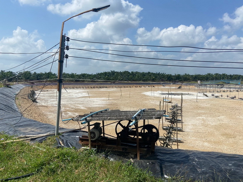 ร่วมตรวจสอบและติดตามฟาร์มโครงการเสริมสภาพคล่องเกษตรกรผู้เลี้ยงกุ้งทะเล