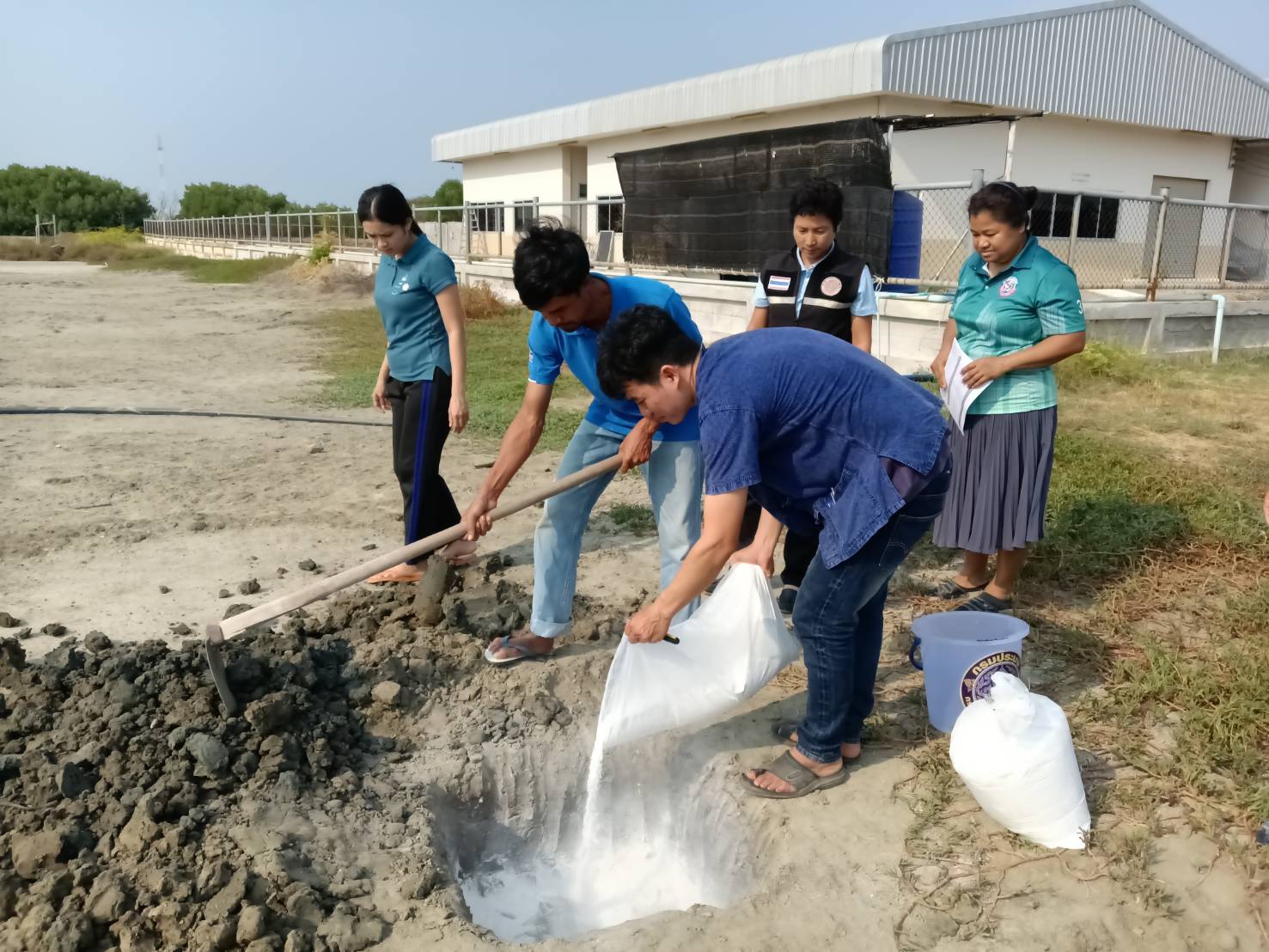 การทำลายปลาหมอคางดำที่ผ่านการตรวจสอบสอบโครโมโซมแล้วและไม่พบชุดโครโมโซม ๔n จำนวน ๓๓๒ ตัว