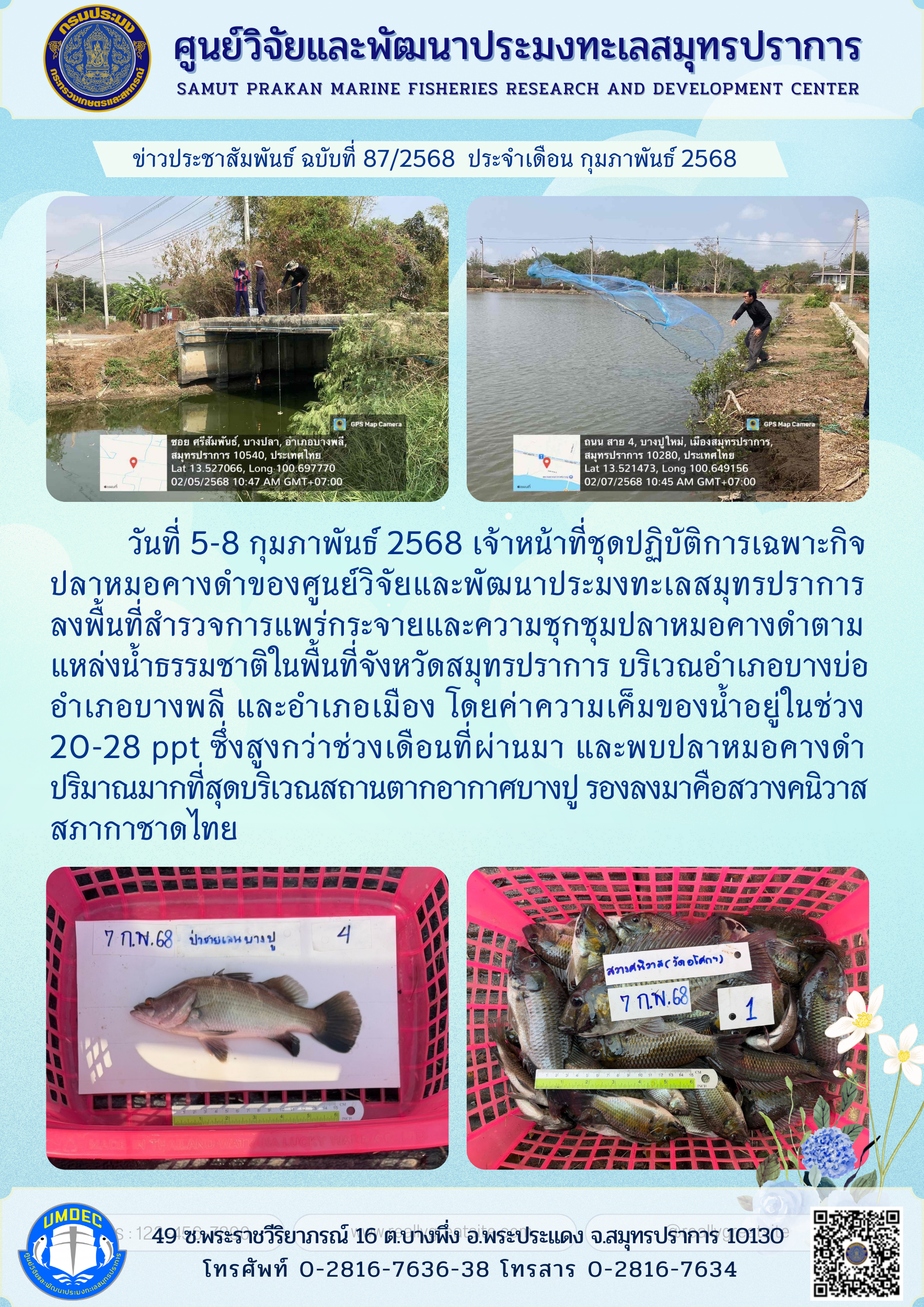 เจ้าหน้าที่ชุดปฏิบัติการเฉพาะกิจปลาหมอคางดำของศูนย์วิจัยและพัฒนาประมงทะเลสมุทรปราการ ลงพื้นที่สำรวจการแพร่กระจายและความชุกชุมปลาหมอคางดำตามแหล่งน้ำธรรมชาติในพื้นที่จังหวัดสมุทรปราการ..คลิก