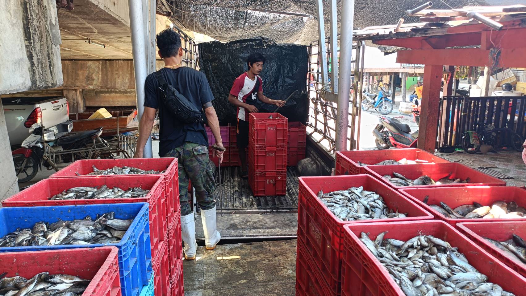  โครงการผลิตน้ำหมักชีวภาพเพื่อเกษตรกรชาวสวนยางปีงบประมาณ 2568
