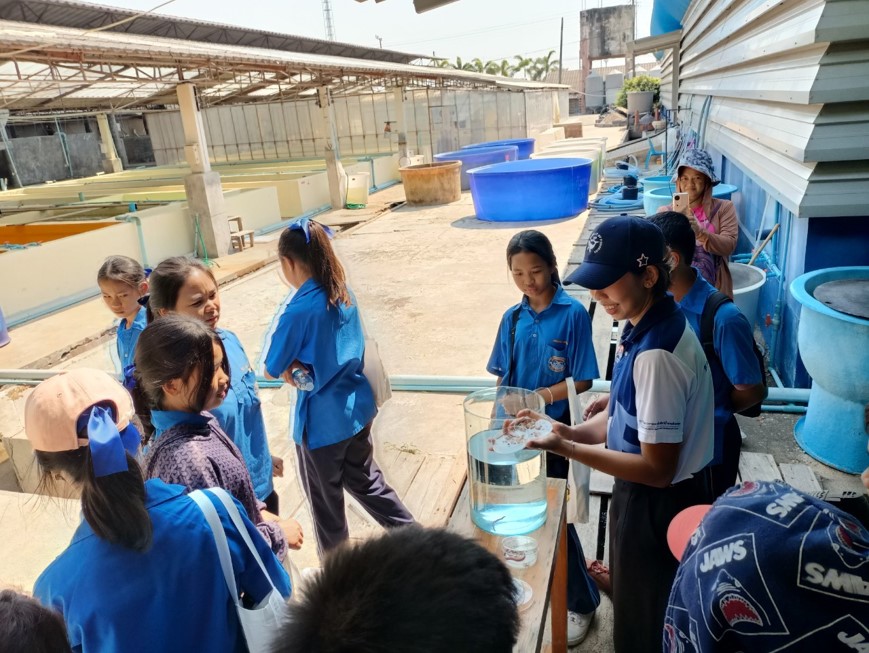 นางนันทวัน  ศานติสาธิตกุล ผู้อำนวยการศูนย์วิจัยและพัฒนาการเพาะเลี้ยงสัตว์น้ำชายฝั่งระยอง มอบหมายให้ นางสาวขวัญจิรา  ชุ่มชื่น นักวิชาการประมงปฏิบัติการ และนายฉัตรชัย  เนื่องศรี นักวิชาการประมงปฏิบัติการ พร้อมด้วยเจ้าหน้าที่ศูนย์ฯ ให้การต้อนรับคณะเจ้าหน้าที่จากองค์การบริหารส่วนตำบลตะพง นำผู้เข้าร่วมโครงการฝึกอบรมถ่ายทอดความรู้ ภูมิปัญญาท้องถิ่นสู่ชมชุม ประจำปีงบประมาณ 2568 เข้าเยี่ยมชมศูนย์ฯ