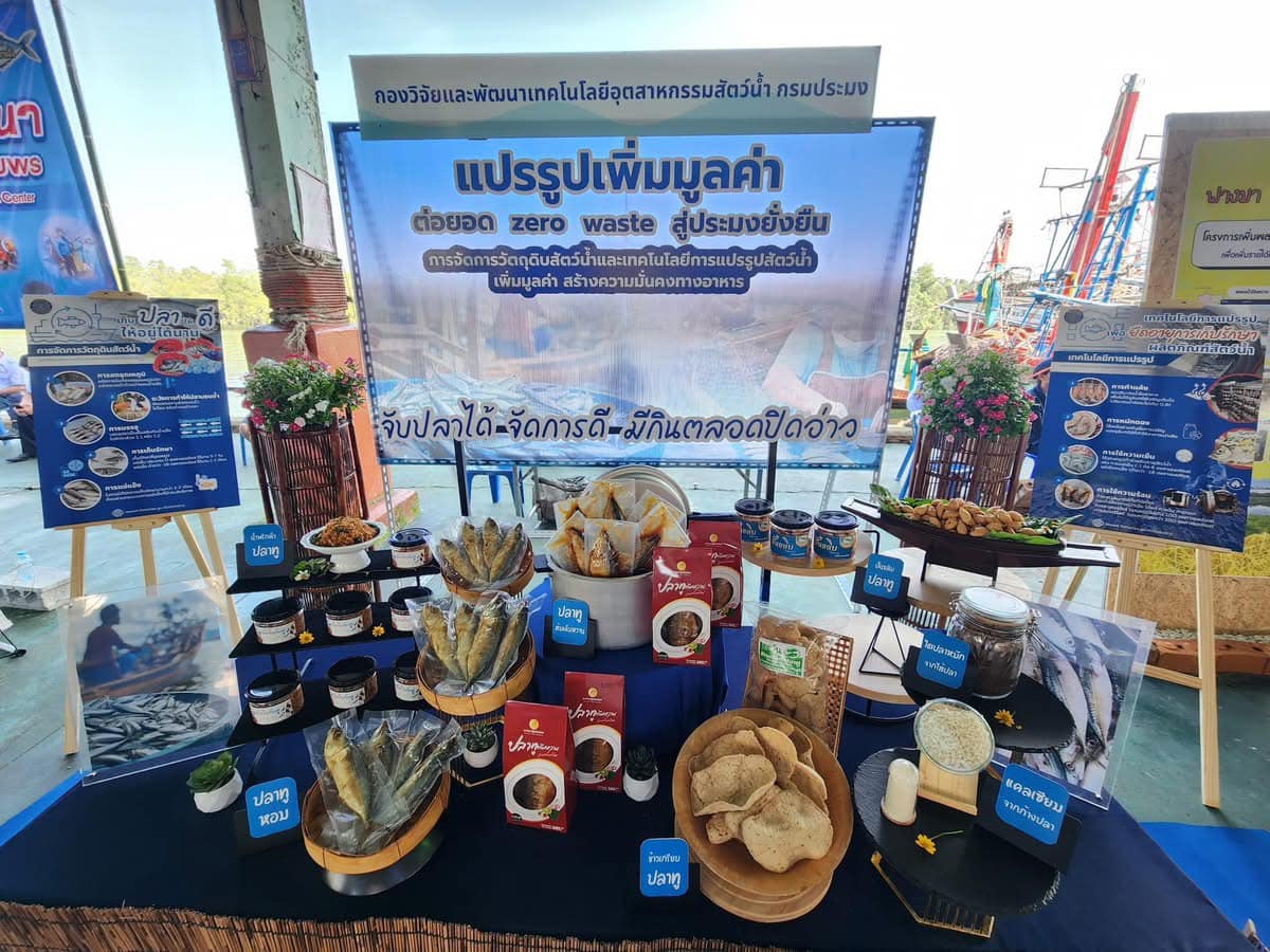 นิทรรศการ แปรรูปเพิ่มมูลค่า ต่อยอด Zero waste สู่ประมงยั่งยืน“ จับปลาได้ จัดการดี มีกินตลอดปิดอ่าว” ณ บริเวณท่าเทียบเรือประมงชุมพร จ.ชุมพร