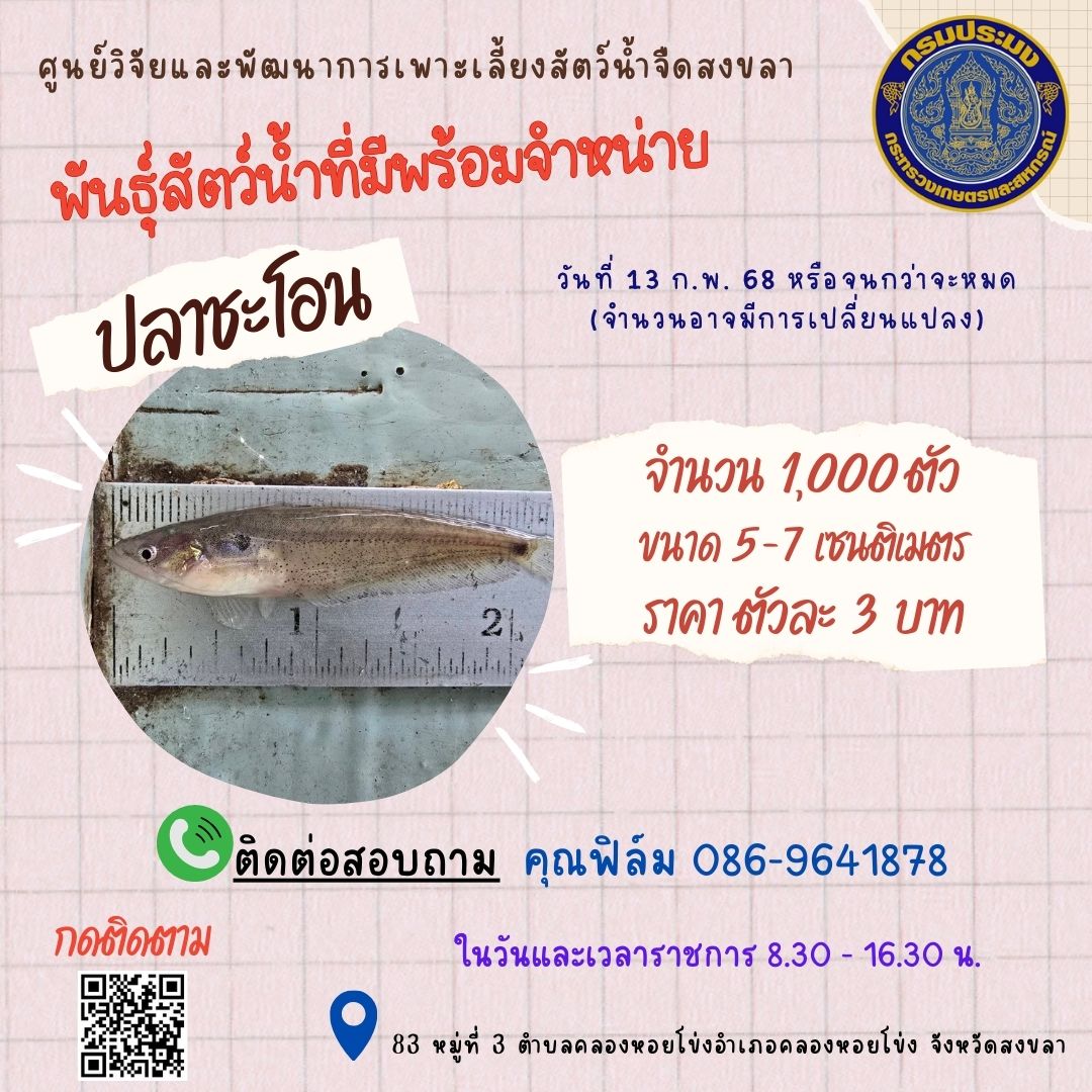 พันธุ์สัตว์น้ำพร้อมจำหน่าย