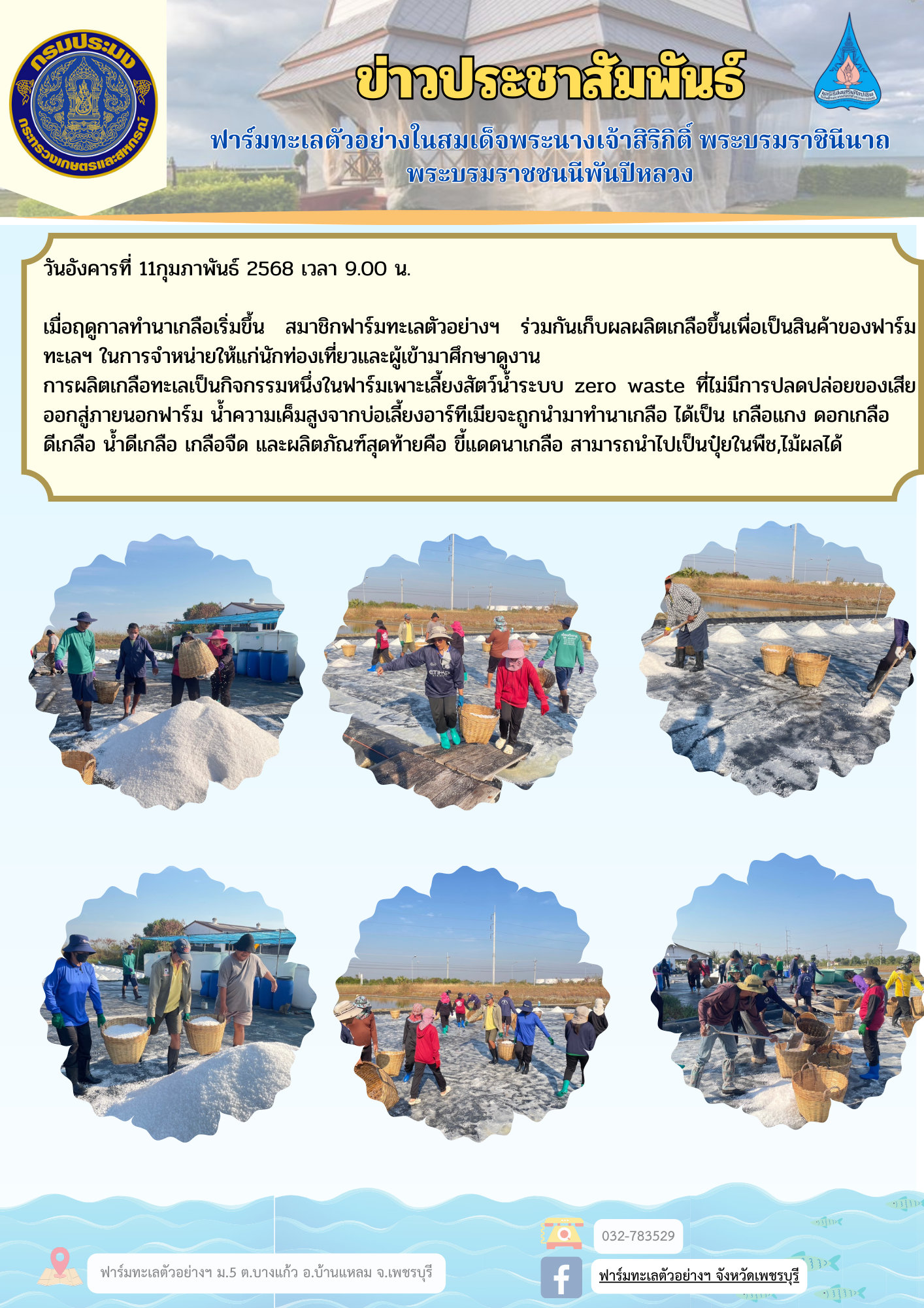 เก็บผลผลิตเกลือ