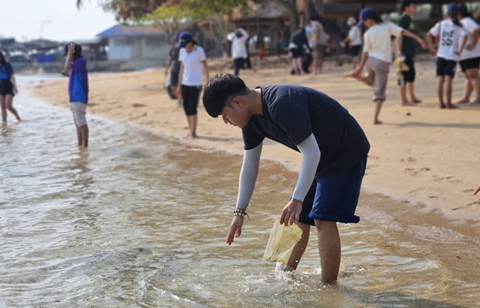 สถาบันเทคโนโลยีจิตรลดา เก็บขยะชายหาดบริเวณสะพานปลาเจ้าหลาว และแหล่งหญ้าทะเล..คลิก