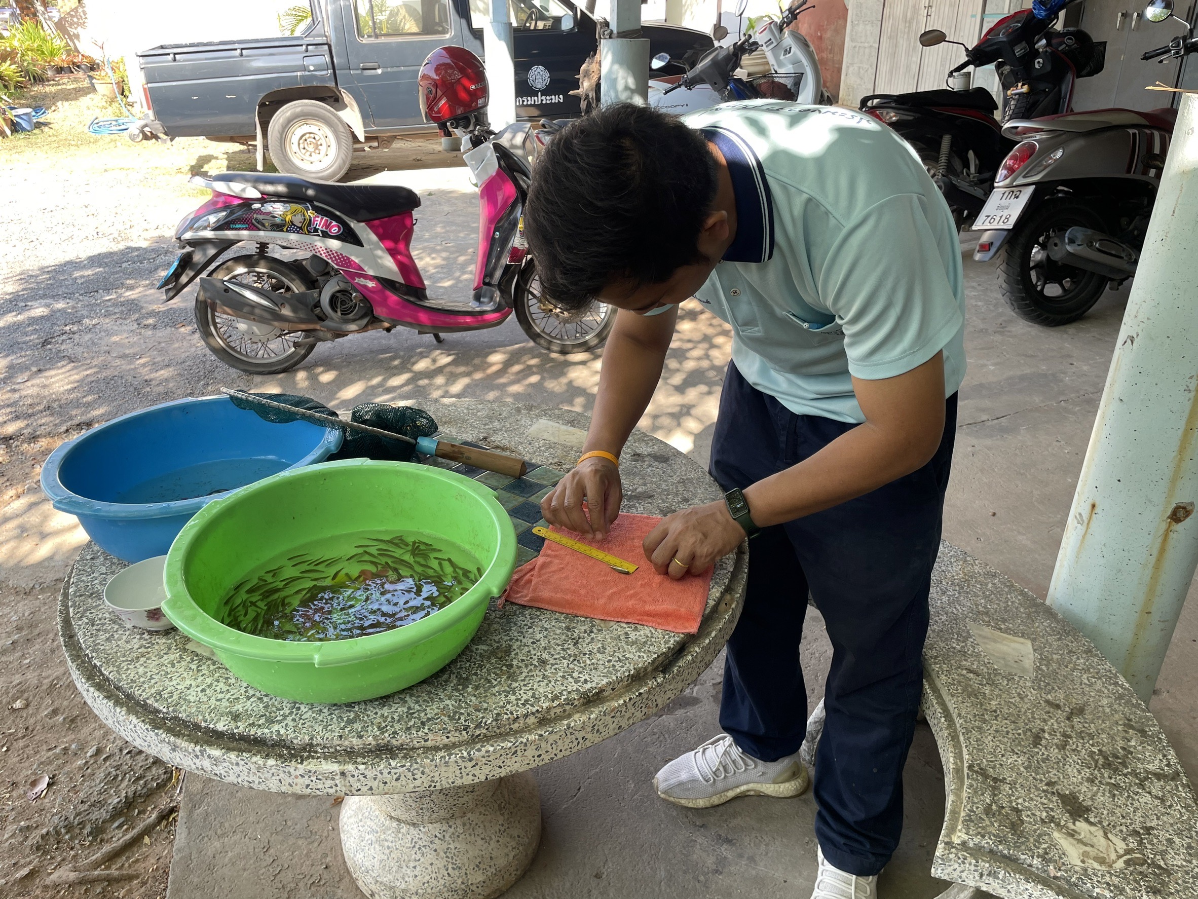 โครงการ พัฒนาเกษตรกรรมยั่งยืน กิจกรรม พัฒนาเกษตรทฤษฎีใหม่