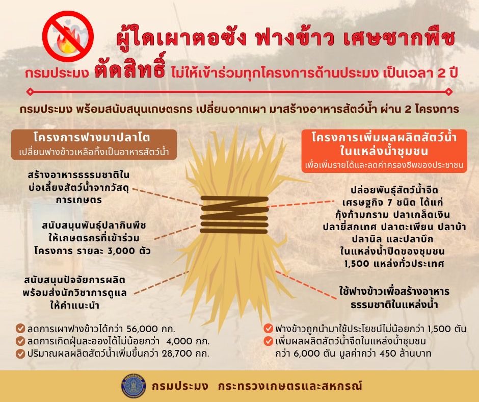 ผู้ใดเผาตอซัง ฟางข้าว เศษซากพืช กรมประมง ตัดสิทธิ์ 2 ปี ไม่ให้เข้าร่วมทุกโครงการด้านประมง