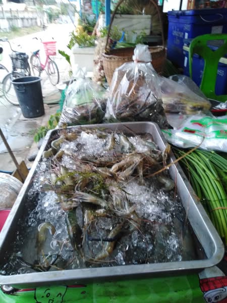 เข้าพื้นที่ตรวจเยี่ยม เก็บข้อมูล และวางแผนการเลี้ยง ในแปลงทดลองเลี้ยงกุ้งก้ามกราม..คลิก