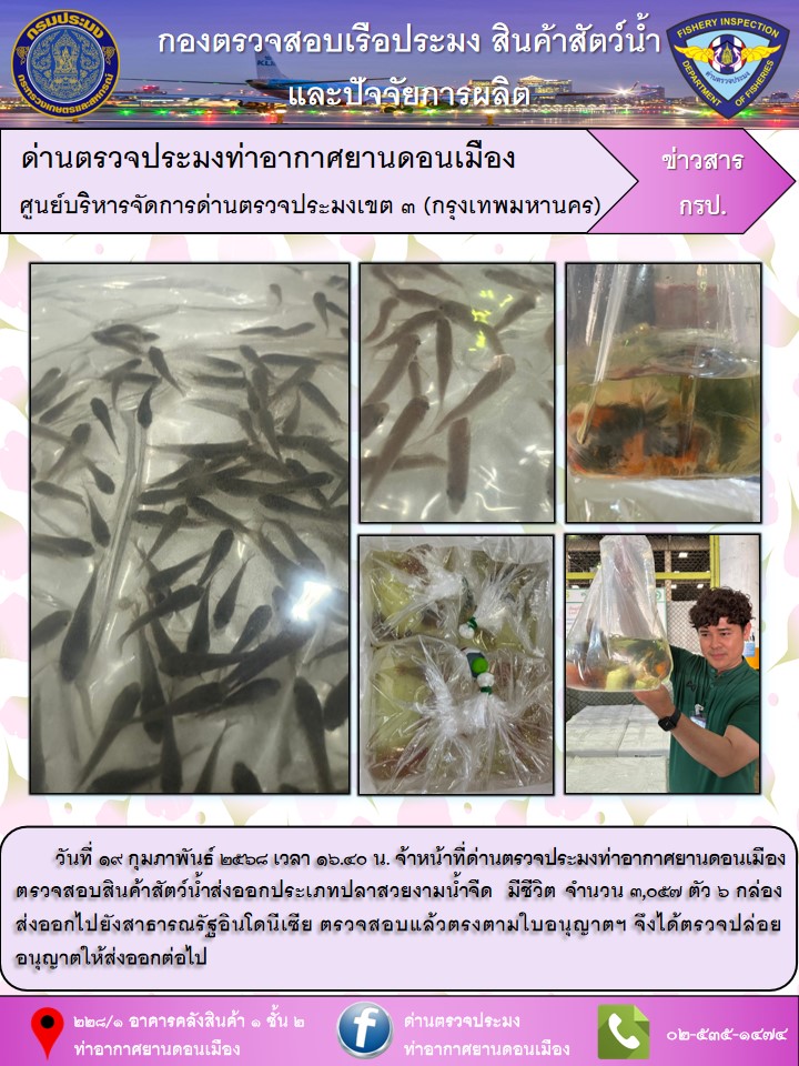 ตรวจสอบสินค้าสัตว์น้ำส่งออก