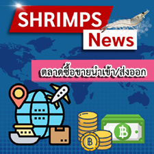 INFOFISH รอบ 12/2024