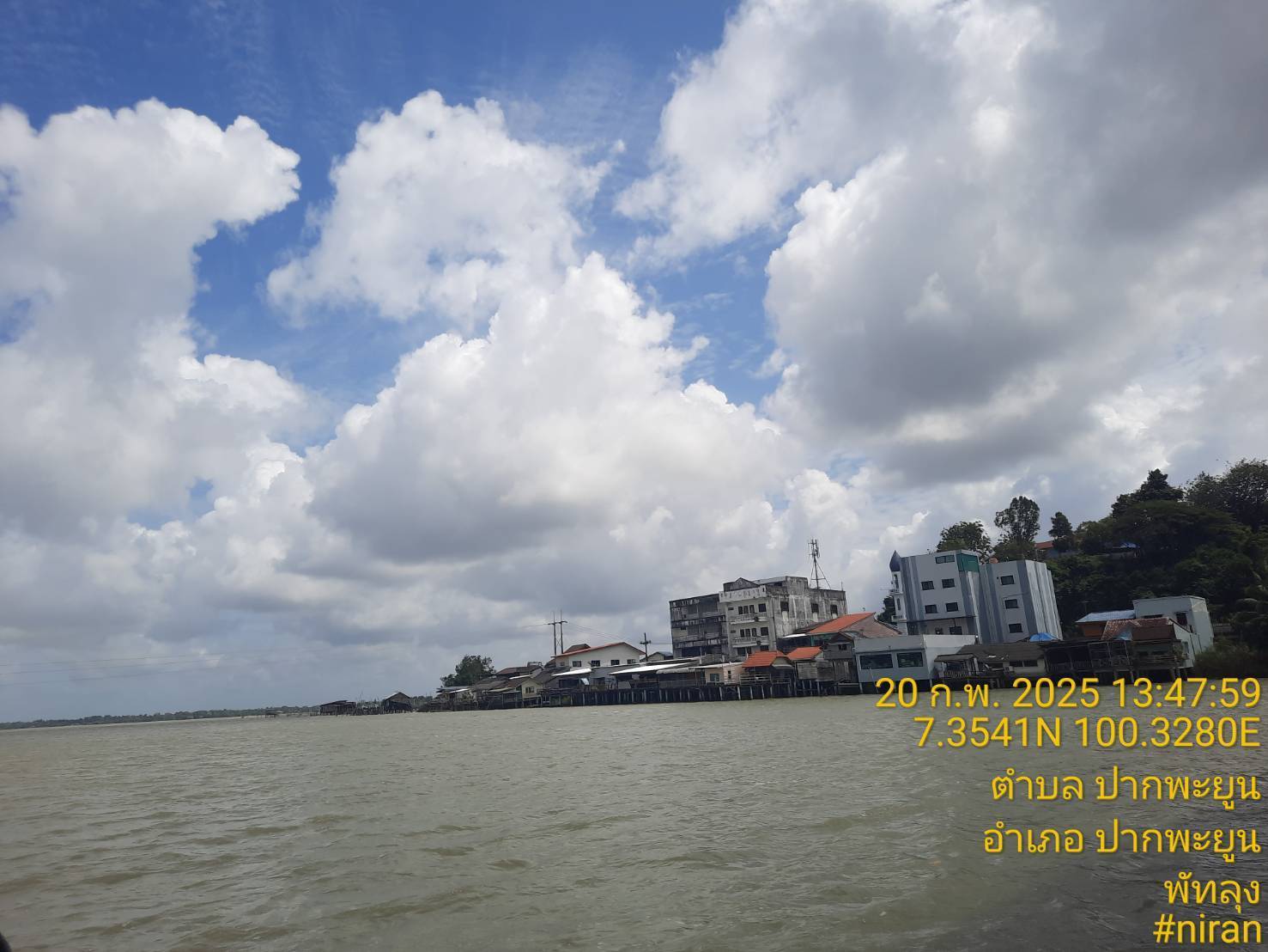 ประมงจังหวัดพัทลุง พร้อมด้วย หัวหน้ากลุ่มบริหารจัดการด้านการประมง   ประมงอำเภอปากพะยูน ร่วมกับหน่วยป้องกันและปราบปรามประมงน้ำจืดพัทลุง นำเรือตรวจเกาะหมาก 11 ตรวจสอบที่จับสัตว์น้ำ  บริเวณทะเลสาบสงขลา สะพานเกาะหมากปากพะยูน  ตามข้อร้องเรียนทางโทรศัพท์ไปยังกรมประมง..คลิก