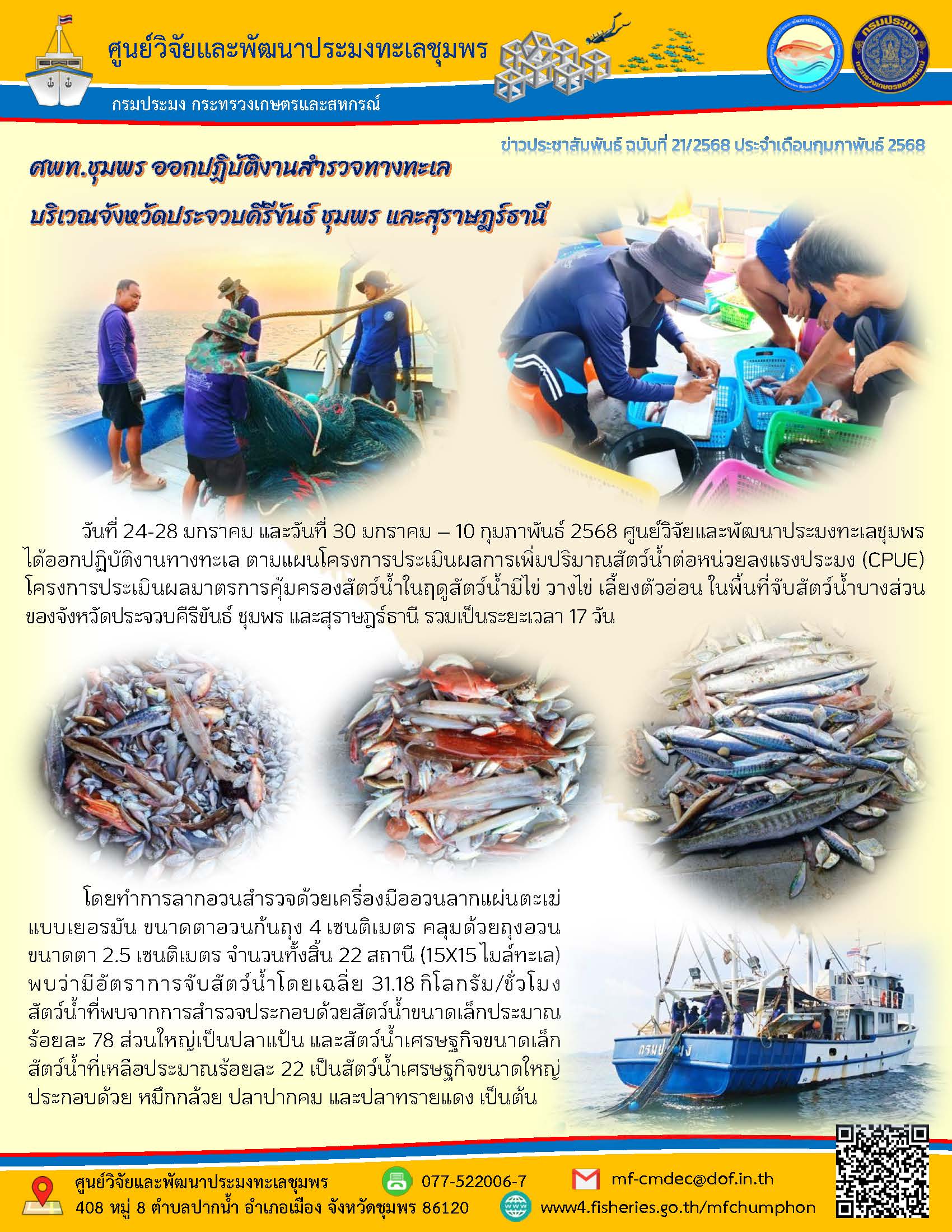 วันที่ 24-28 มกราคม และวันที่ 30 มกราคม - 10 กุมภาพันธ์ 2568 ศูนย์วิจัยและพัฒนาประมงทะเลชุมพรได้ออกปฏิบัติงานทางทะเล ตามแผนโครงการประเมินผลการเพิ่มปริมาณสัตว์น้ำต่อหน่วยลงแรงประมง (CPUE) โครงการประเมินผลมาตรการคุ้มครองสัตว์น้ำในฤดูสัตว์น้ำมิไข่ วางไข่ เลี้ยงตัวอ่อน ในพื้นที่จับสัตว์น้ำบางส่วนของจึงหวัดประจวบคิริขันธ์ ชุมพร และสุราษฎร์ธานี รวมเป็นระยะเวลา 17 วัน ฯลฯ