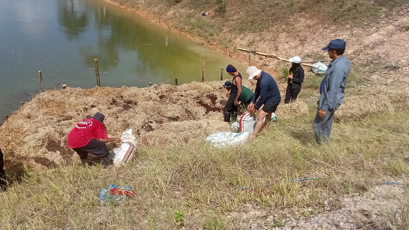 ประมงอำเภอเขาชัยสน  ร่วมทำอาหารธรรมชาติ(ฟางหมัก) ณ อ่างเก็บน้ำแม่เปี๊ยะ  ตามโครงการบริหารจัดการทรัพยากร กิจกรรมบริหารจัดการทรัพยากร ประมงน้ำจืด การเพิ่มผลผลิตสัตว์น้ำในแหล่งน้ำชุมชนเพื่อเพิ่มรายได้ และลดค่าครองชีพของประชาชน