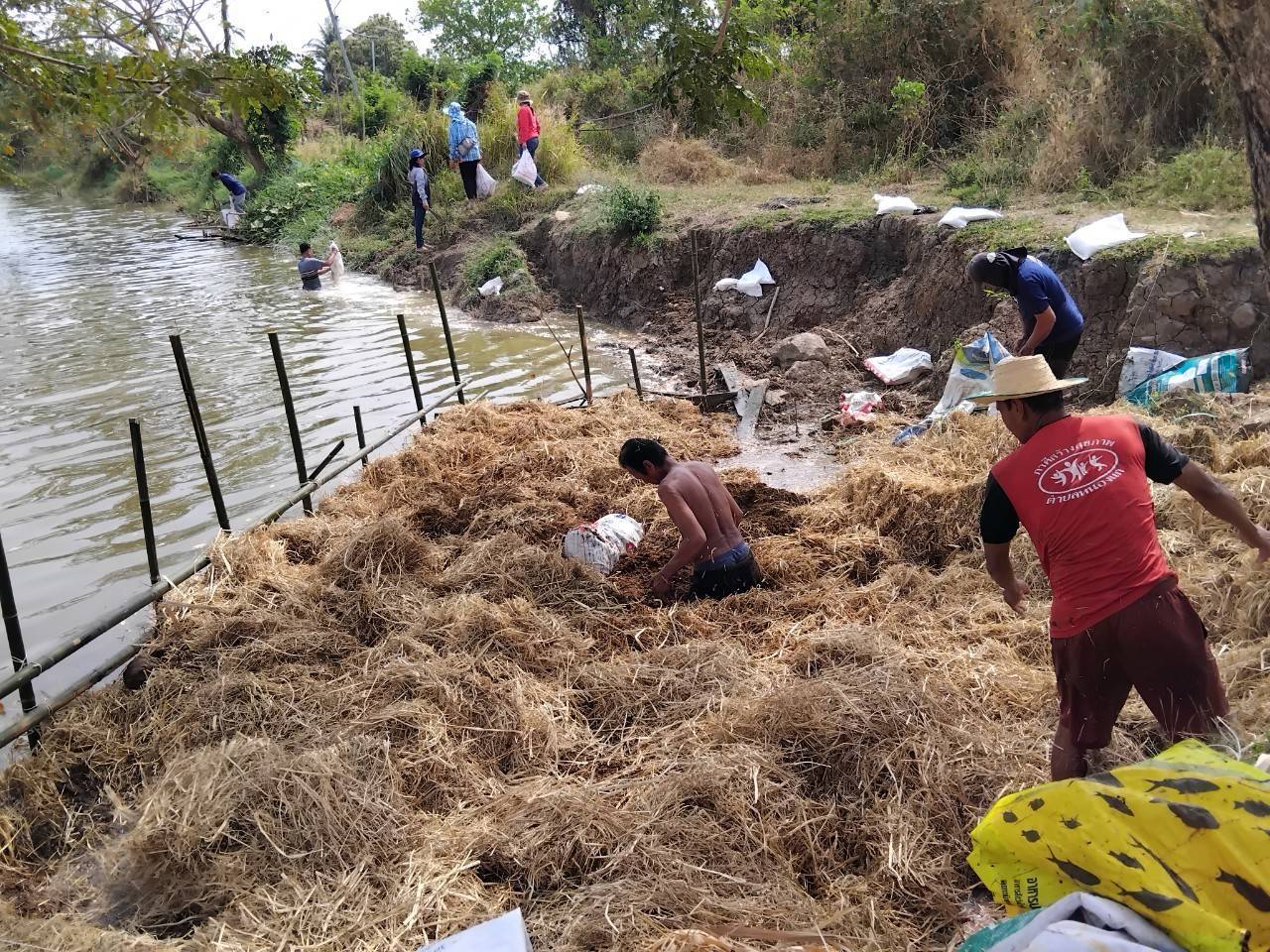 สำนักงานประมงจังหวัดหนองบัวลำภู ฝึกอบรมเชิงปฎิบัติการ โครงการเพิ่มประสิทธิภาพการเกษตรมูลค่าสูง สู่เกษตรนวัตกรรมชั้นสูง กิจกรรม ส่งเสริมการเพิ่มผลผลิตสัตว์น้ำในแหล่งน้ำชุมชน (ฟางมาปลาโต)