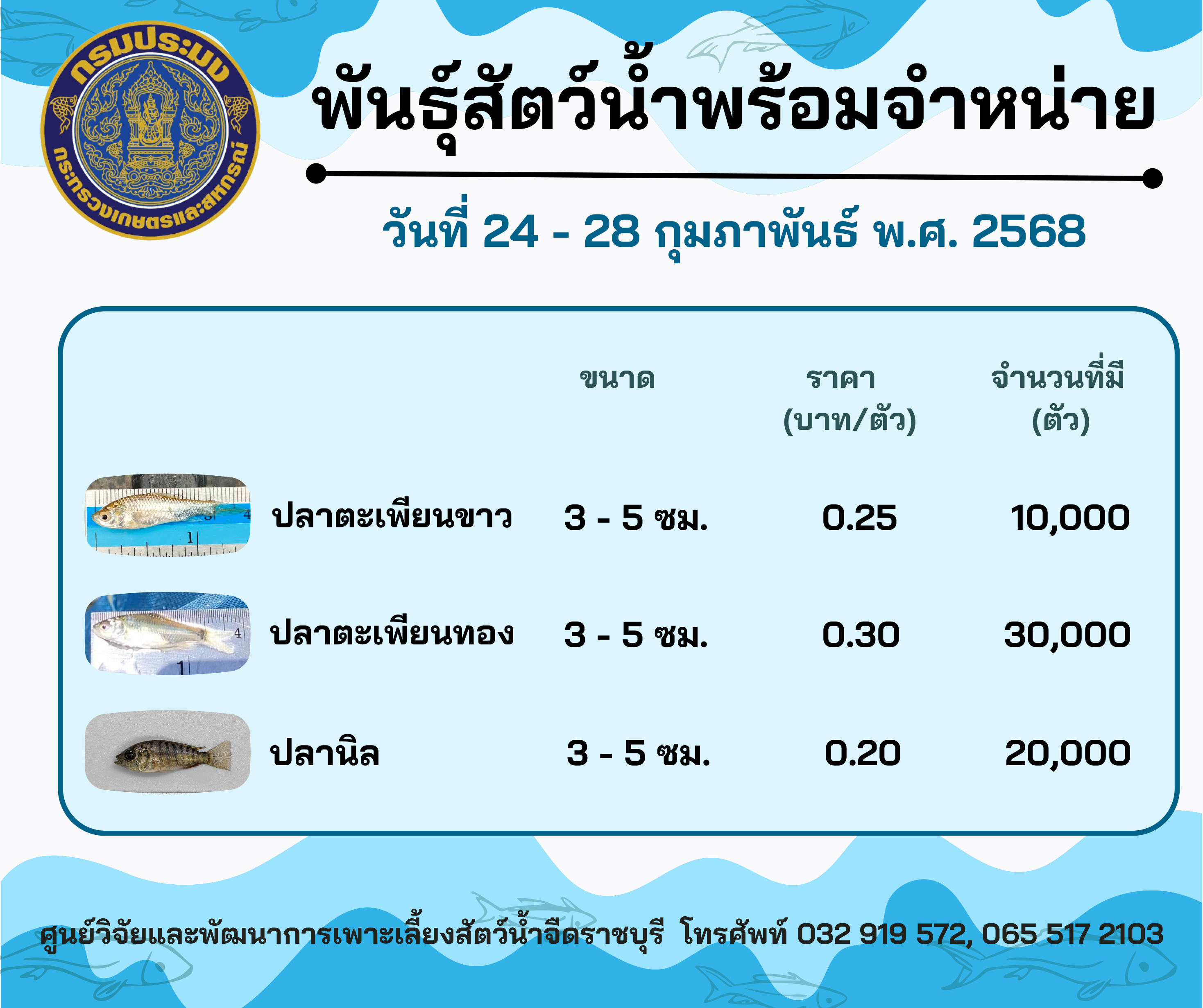 ลูกพันธุ์สัตว์น้ำพร้อมจำหน่ายสัปดาห์นี้ วันที่ 24 - 28 กุมภาพันธ์ พ.ศ. 2568