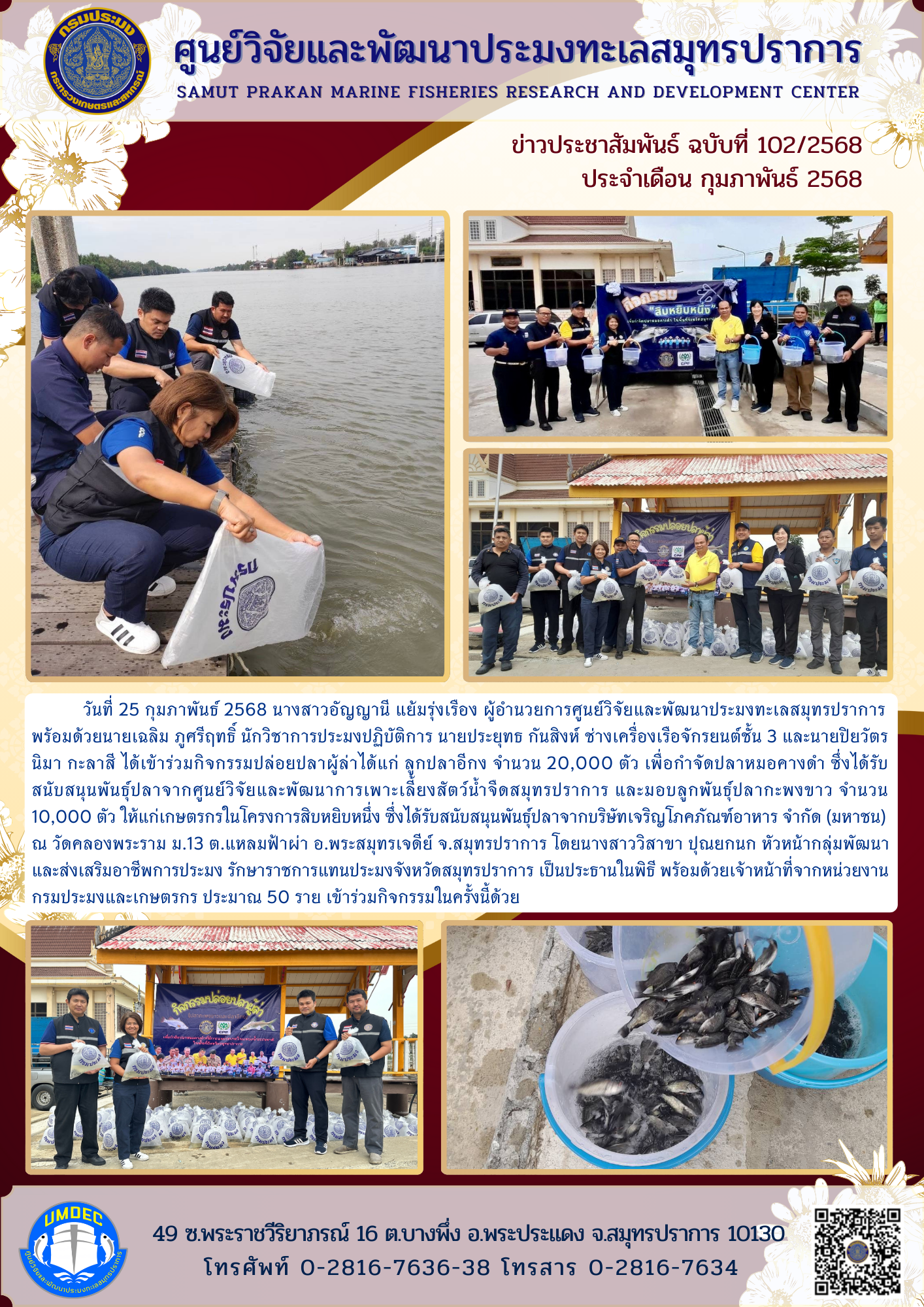 ศูนย์วิจัยและพัฒนาประมงทะเลสมุทรปราการ เข้าร่วมกิจกรรมปล่อยปลาผู้ล่าเพื่อกำจัดปลาหมอคางดำ..คลิก