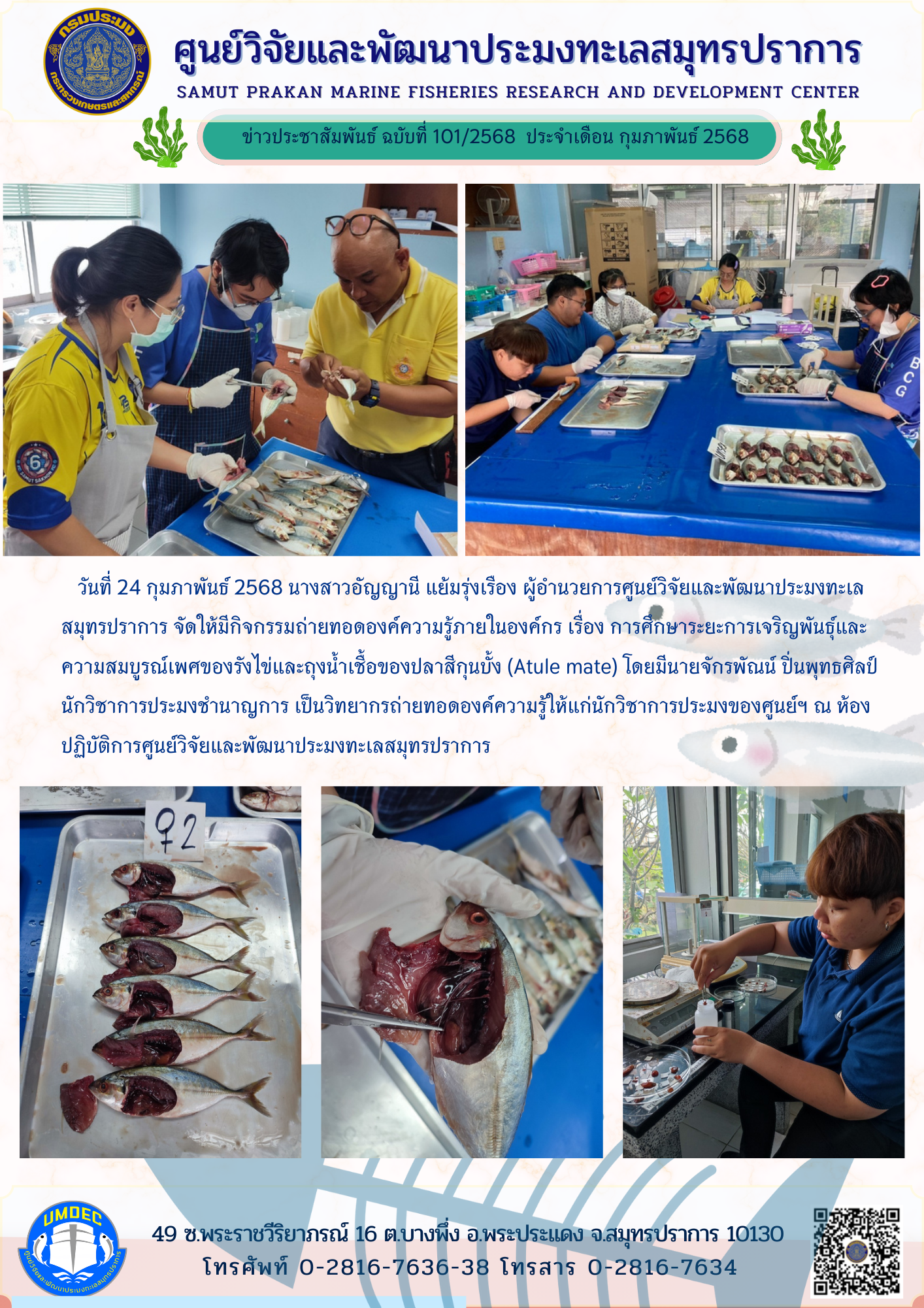ศูนย์วิจัยและพัฒนาประมงทะเลสมุทรปราการ จัดให้มีกิจกรรมถ่ายทอดองค์ความรู้ภายในองค์กร เรื่อง การศึกษาระยะการเจริญพันธุ์และความสมบูรณ์เพศของรังไข่และถุงน้ำเชื้อของปลาสีกุนบั้ง (Atule mate)..คลิก