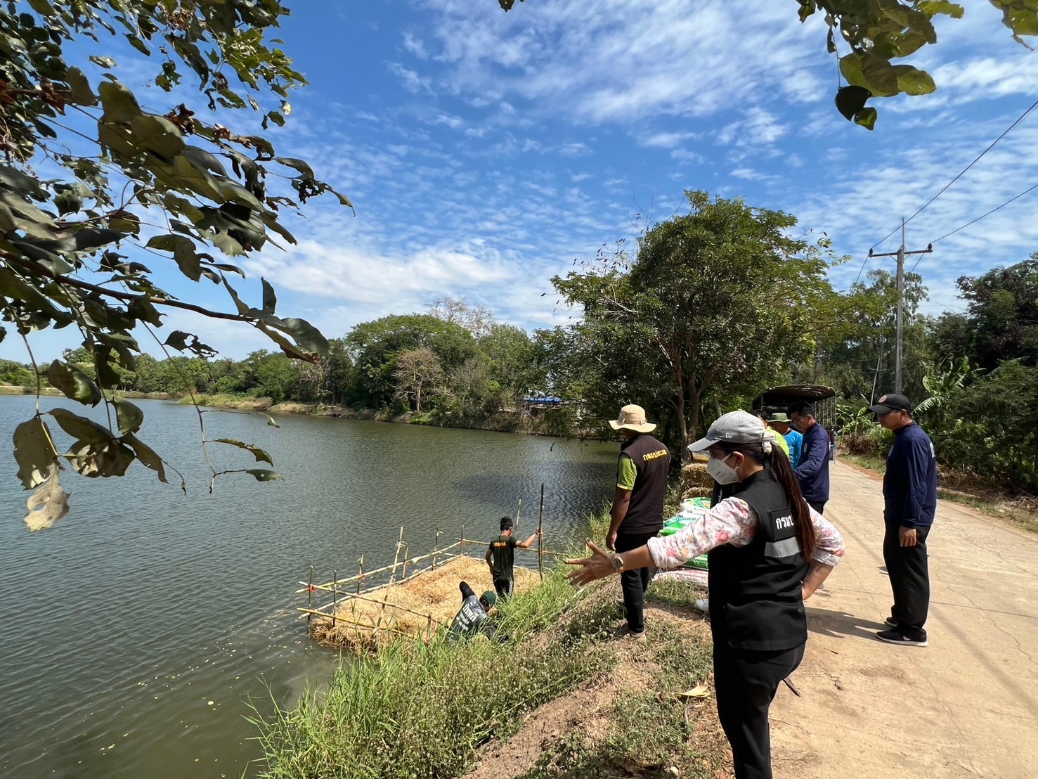 ร่วมสร้างแหล่งอาหารธรรมชาติ 3แหล่งน้ำในอำเภอโพธิ์ทอง เพื่อเป็นการเตรียมความพร้อมของแหล่งน้ำก่อนปล่อยพันธุ์สัตว์น้ำตามโครงการบริหารจัดการทรัพยากรประมง