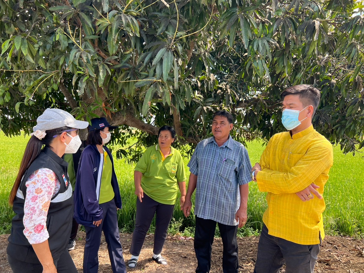 ร่วมสร้างแหล่งอาหารธรรมชาติ 3แหล่งน้ำในอำเภอโพธิ์ทอง เพื่อเป็นการเตรียมความพร้อมของแหล่งน้ำก่อนปล่อยพันธุ์สัตว์น้ำตามโครงการบริหารจัดการทรัพยากรประมง