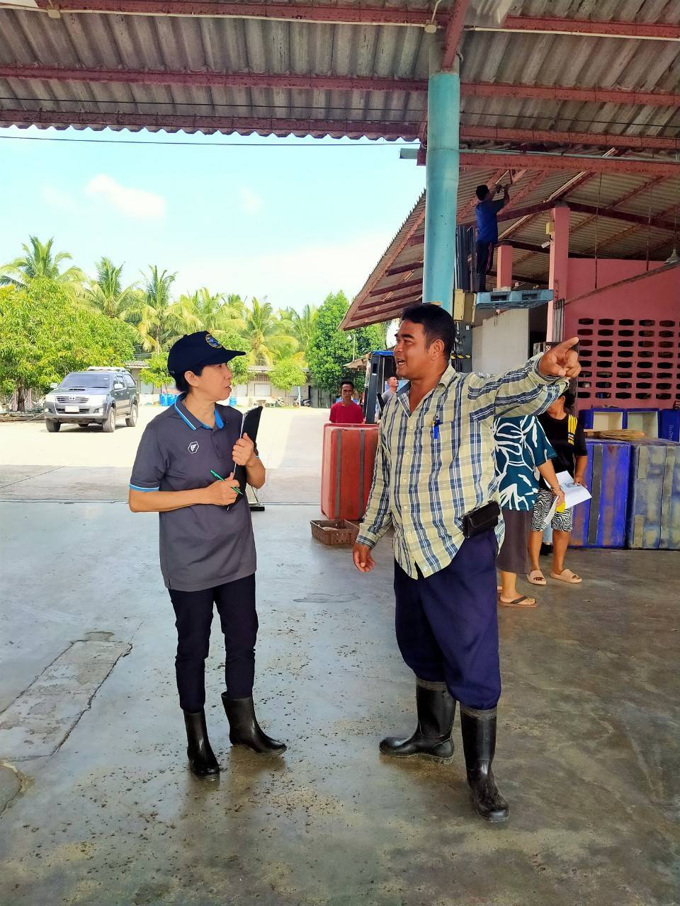 เจ้าหน้าที่ศูนย์วิจัยและพัฒนาประมงทะเลสงขลา ออกปฏิบัติงานเก็บรวบรวมข้อมูลทรัพยากรประมงจาก เรืออวนลากที่ขึ้นท่าในพื้นที่จังหวัดนครศรีธรรมราช และสงขลา ประจำเดือนมกราคม 2568 โดยเก็บข้อมูลจากเรืออวนลาก 6 กลุ่ม