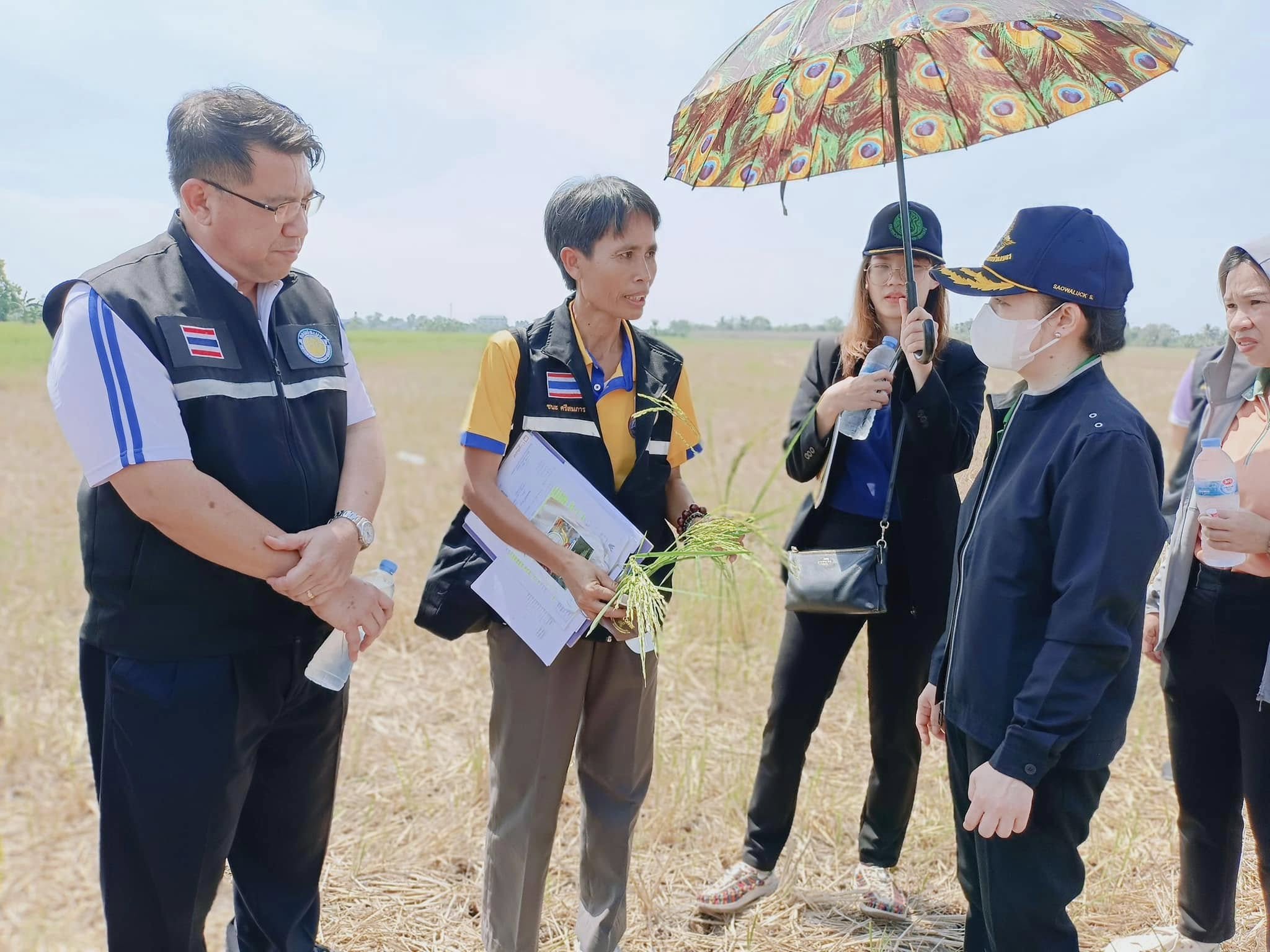 สำนักงานประมงพื้นที่กรุงเทพมหานคร เข้าร่วมประชุมตรวจติดตามผลการดำเนินงานตามแผนการตรวจราชการกระทรวงเกษตรและสหกรณ์ ประจำปีงบประมาณ พ.ศ. 2568 รอบที่ 1