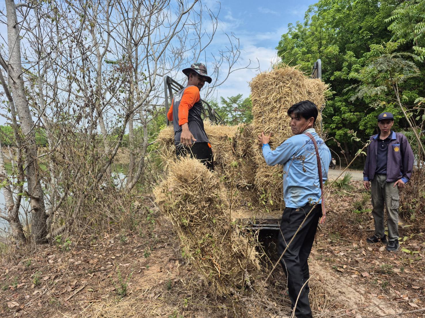 ประมงอุบลฯ ร่วมกับชุมชนบ้านโนนสุข ตำบลไรใต้ อำเภอพิบูลมังสาหาร ดำเนินกิจกรรม..คลิก
