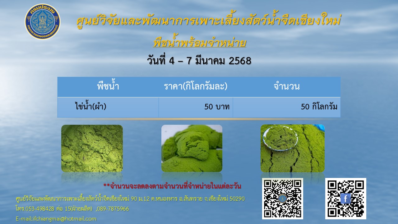 พันธุ์ปลาพร้อมจำหน่าย วันที่ 4-7 มีนาคม 2568