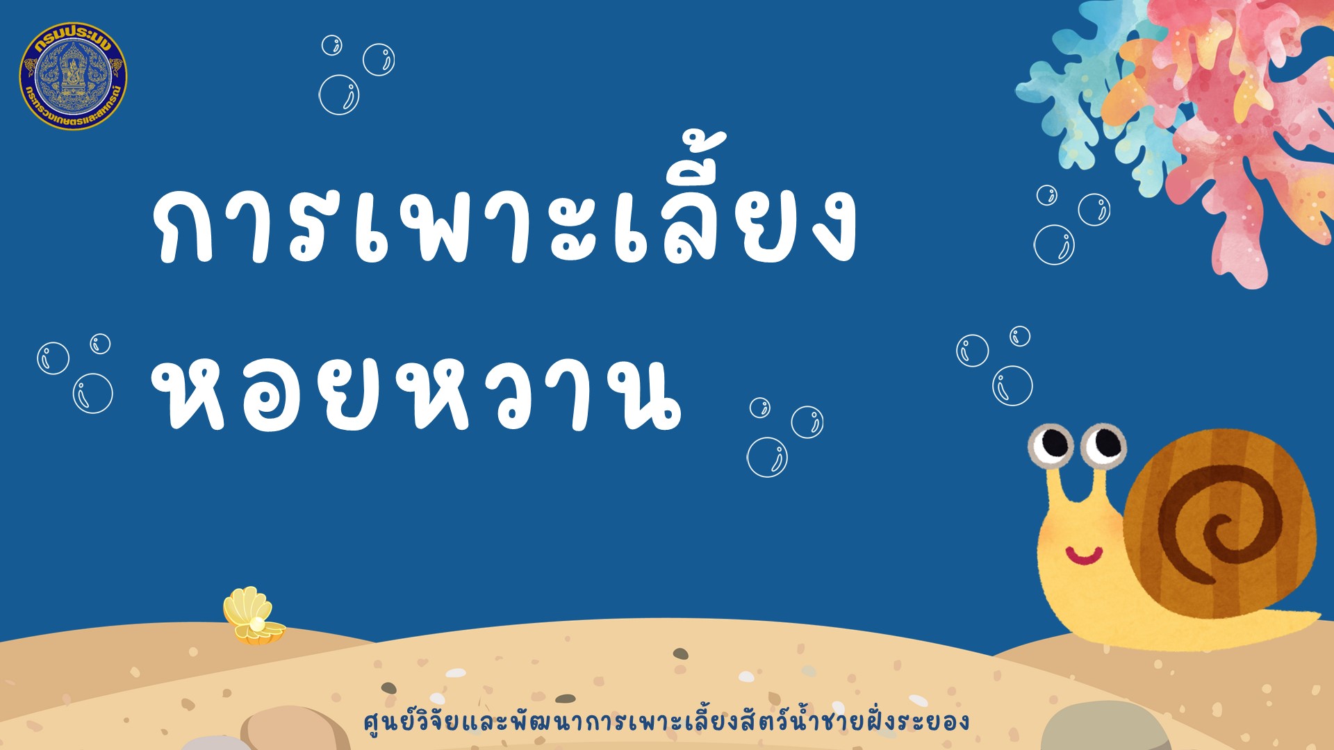 การเพาะเลี้ยงหอยหวาน