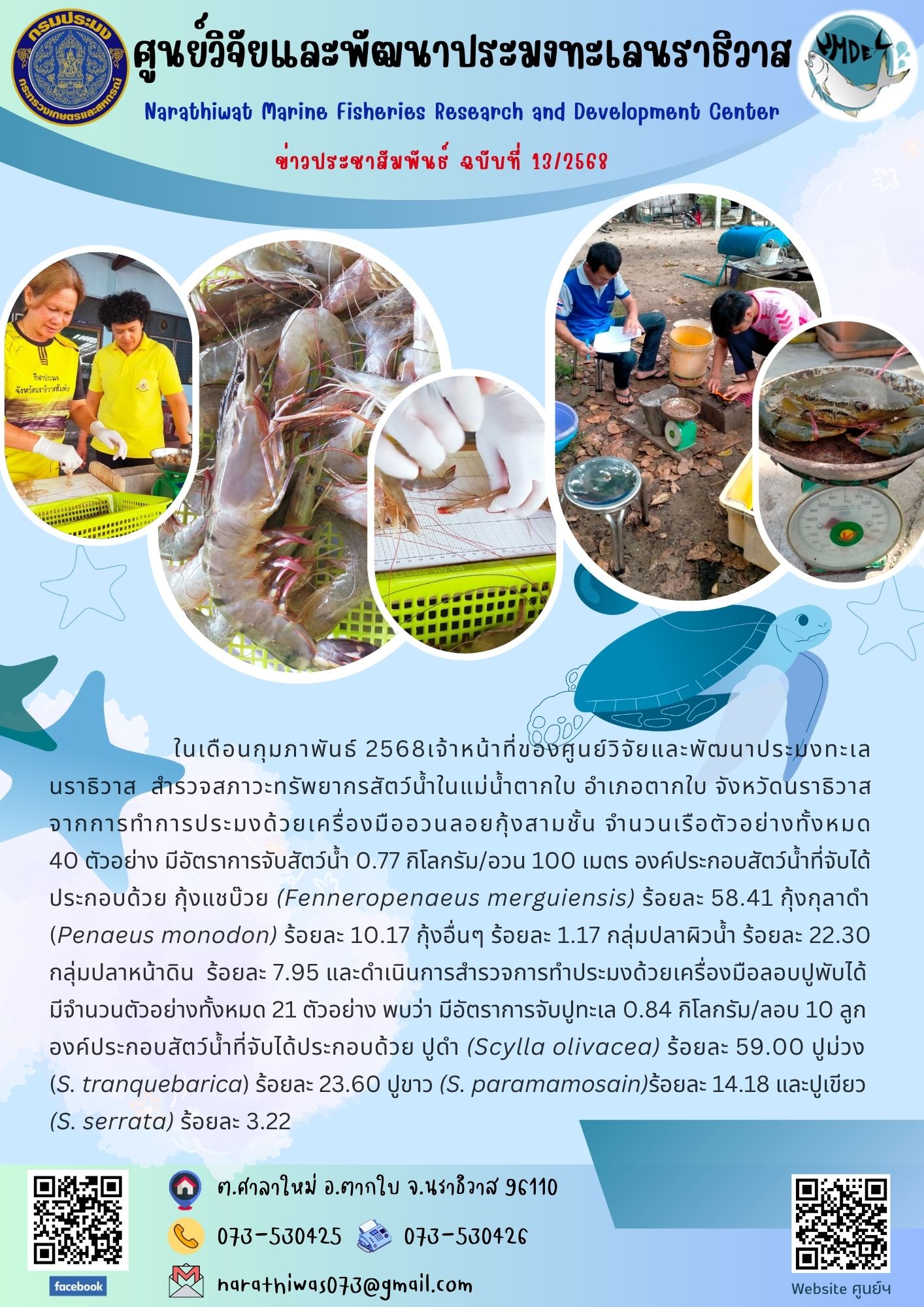    ในเดือนกุมภาพันธ์ 2568เจ้าหน้าที่ของศูนย์วิจัยและพัฒนาประมงทะเลนราธิวาส  สำรวจสภาวะทรัพยากรสัตว์น้ำในแม่น้ำตากใบ