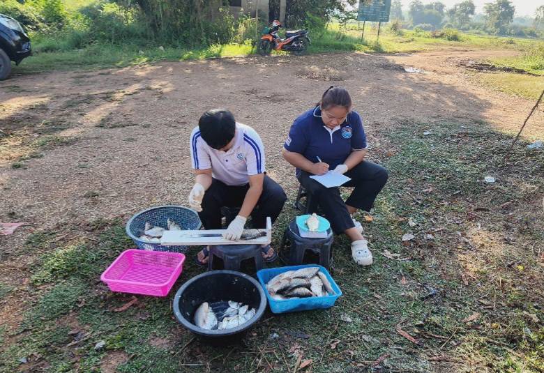 การออกปฏิบัติงานโครงการประเมินสภาวะทรัพยากรสัตว์น้ำในแหล่งน้ำจืดด้วยค่าผลผลิตสูงสุดที่ยั่งยืน (MSY) ประจำเดือนกุมภาพันธ์ 2568 