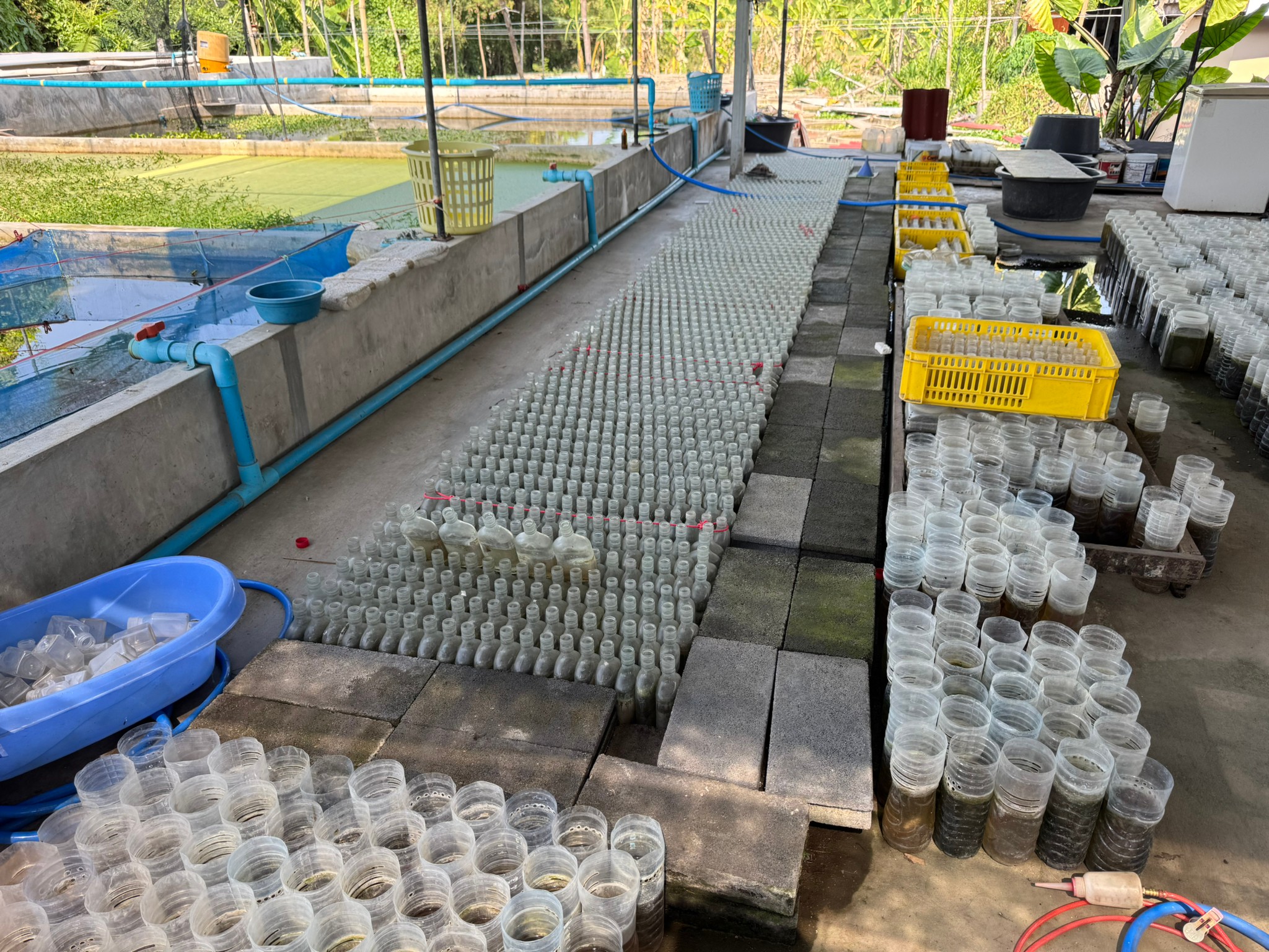 ลงพื้นที่ติดตามเพื่อต่ออายุเกษตรกรผู้เพาะเลี้ยงสัตว์น้ำที่เข้าร่วมโครงการยกระดับคุณภาพการผลิตสินค้าเกษตรด้านประมง (GAP)..คลิก
