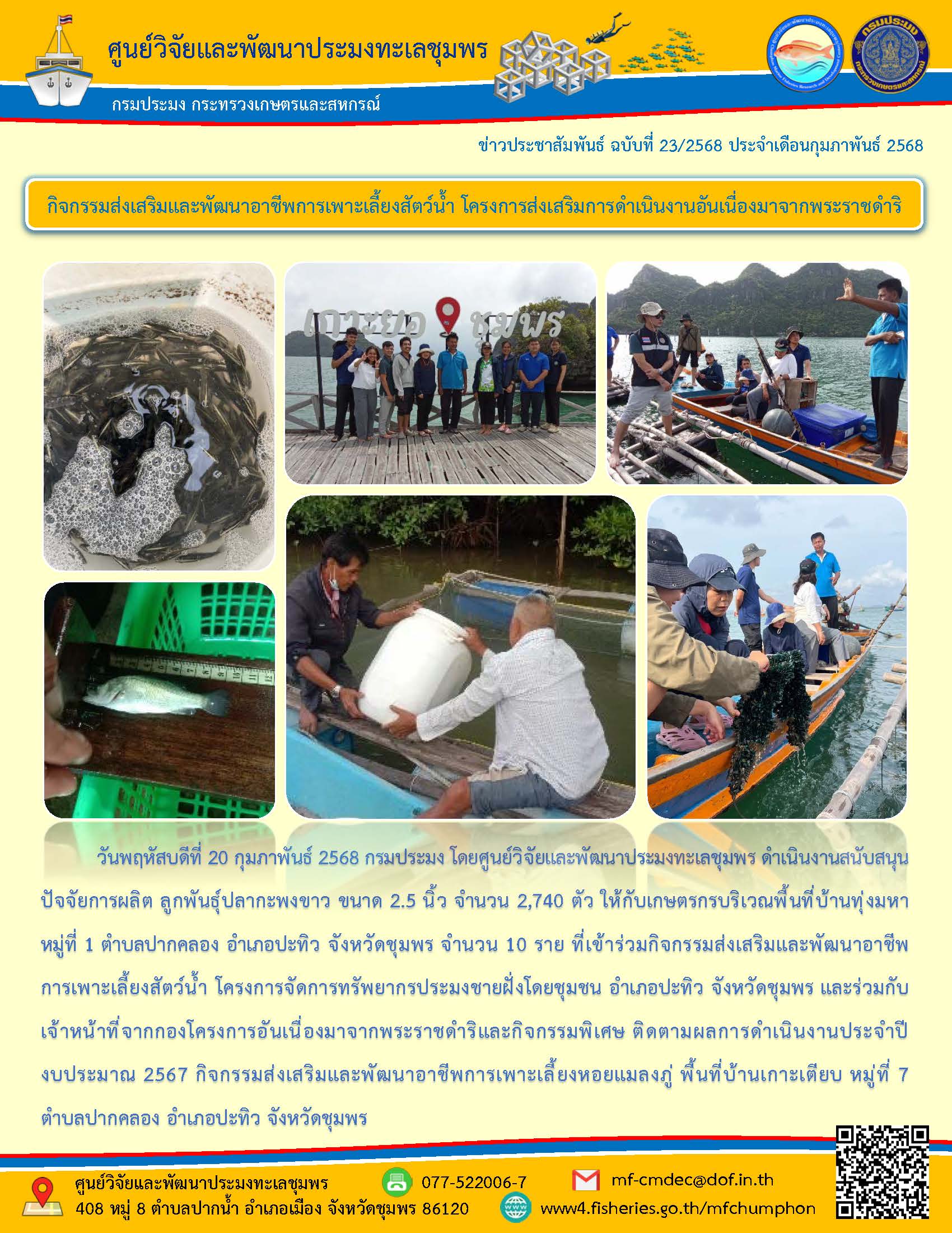 วันพฤหัสบดีที่ 20 กุมภาพันธ์ 2568 กรมประมง โดยศูนย์วิจัยและพัฒนาประมงทะเลชุมพร ดำเนินงานสนับสนุน ปัจจัยการผลิต ลูกพันธุ์ปลากะพงขาว ขนาด 2.5 นิ้ว จำนวน 2,740 ตัว ให้กับเกษตรกรบริเวณพื้นที่บ้านทุ่งมหาหมู่ที่ 1 ตำบลปากคลอง อำเภอปะทิว จังหวัดชุมพร จำนวน 10 ราย ที่เข้าร่วมกิจกรรมส่งเสริมและพัฒนาอาชีพการเพาะเลี้ยงสัตว์น้ำ โครงการจัดการทรัพยากรประมงชายฝั่งโดยชุมชน ฯลฯ