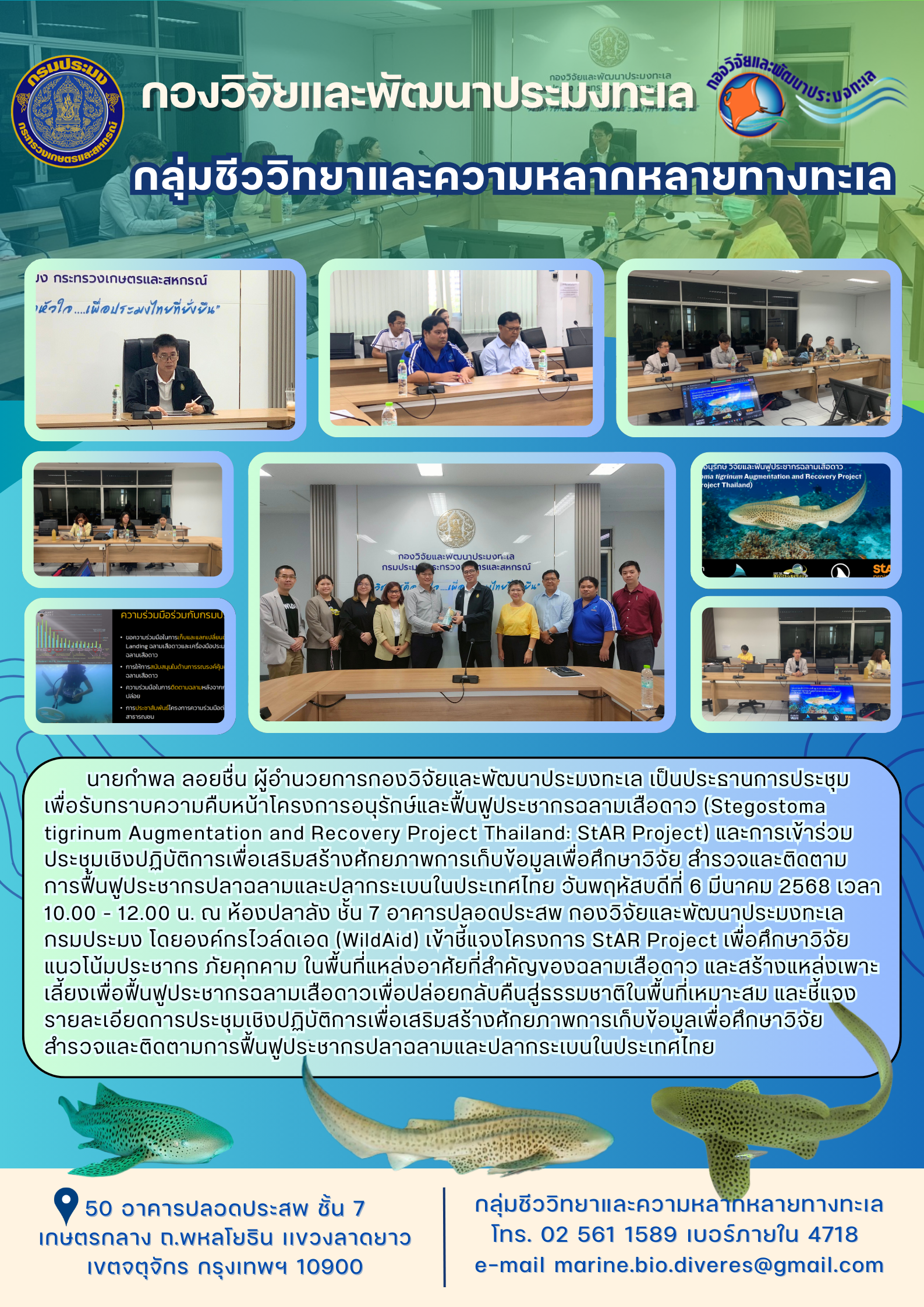 ประชุมเพื่อรับทราบความคืบหน้าโครงการอนุรักษ์และฟื้นฟูประชากรฉลามเสือดาว (Stegostoma tigrinum Augmentation and Recovery Project Thailand: StAR Project)