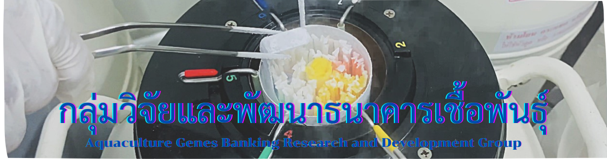 แบนเนอร์