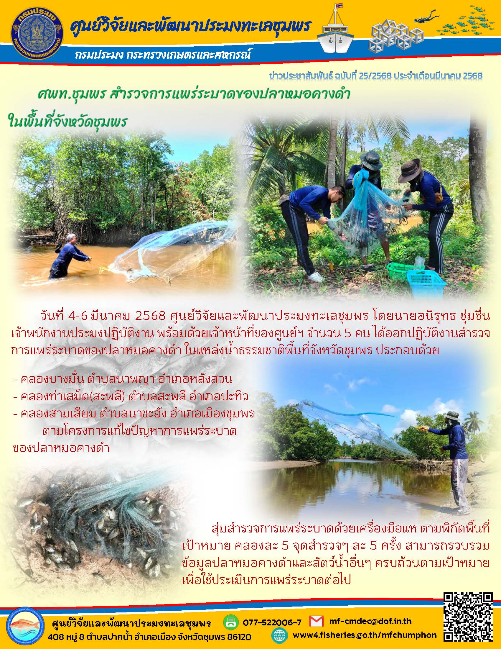 ศพท.ชุมพร สำรวจการแพร่ระบาดของปลาหมอคางดำ ในพื้นที่จังหวัดชุมพร..คลิก