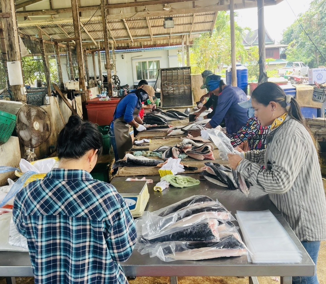 ลงพื้นที่เยี่ยมเยียนฟาร์มของเกษตรกรเลี้ยงปลาชะโด พร้อมทั้งสอบถามข้อมูลด้านปัญหาอุปสรรคและด้านการตลาดในการเพาะเลี้ยงสัตว์น้ำ ตลอดจนหารือแนวทางการกำจัดปลาชะโดในแหล่งน้ำต่างๆ ที่ส่งผลกระทบต่อระบบนิเวศของแหล่งน้ำ