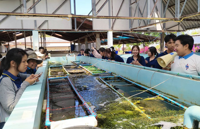 โรงเรียนศรียานุสรณ์ จ.จันทบุรี ศึกษาดูงานศูนย์ศึกษาการพัฒนาอ่าวคุ้งกระเบนฯ..คลิก