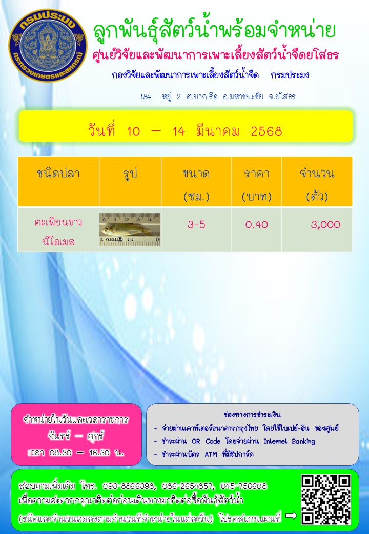 ลูกพันธุ์สัตว์น้ำพร้อมจำหน่าย 10 - 14 มี.ค. 2568