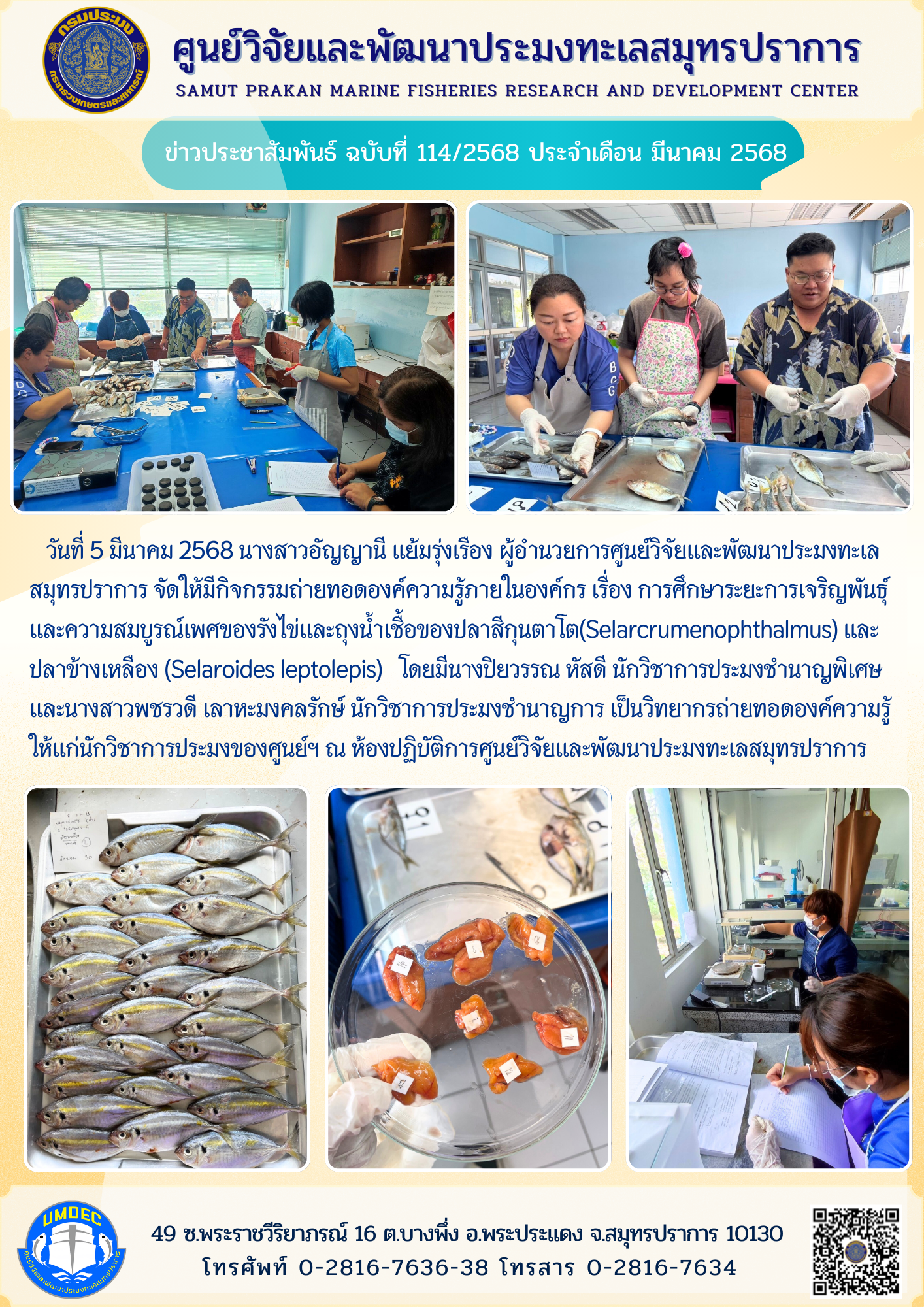 ศูนย์วิจัยและพัฒนาประมงทะเลสมุทรปราการ จัดให้มีกิจกรรมถ่ายทอดองค์ความรู้ภายในองค์กร เรื่อง การศึกษาระยะการเจริญพันธุ์และความสมบูรณ์เพศของรังไข่และถุงน้ำเชื้อของปลาสีกุนตาโต (Selar crumenophthalmus) และปลาข้างเหลือง (Selaroides leptolepis) 