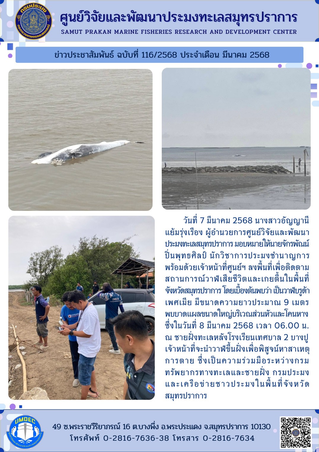 วันที่ 7 มีนาคม 2568 นางสาวอัญญานี แย้มรุ่งเรือง ผู้อำนวยการศูนย์วิจัยและพัฒนาประมงทะเลสมุทรปราการ มอบหมายให้นายจักรพัณน์ ปิ่นพุทธศิลป์ นักวิชาการประมงชำนาญการ พร้อมด้วยเจ้าหน้าที่ศูนย์ฯ ลงพื้นที่เพื่อติดตามสถานการณ์วาฬเสียชีวิตและเกยตื้นในพื้นที่จังหวัดสมุทรปราการ ฯลฯ..คลิก