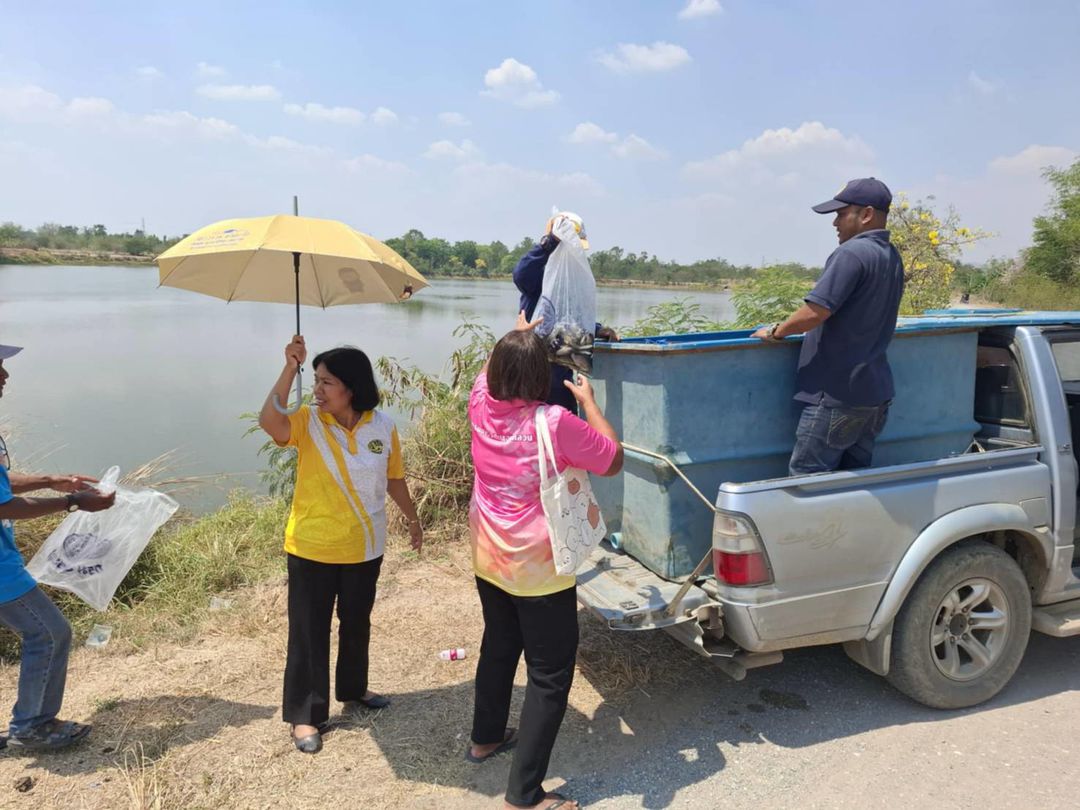 ประมงอำเภอท่าตะโก ร่วมกับคณะกรรมการแหล่งน้ำบึงหลวงพ่อเดิม ปล่อยพันธุ์ปลานิลตามโครงการบริหารจัดการทรัพยากรประมง..คลิก