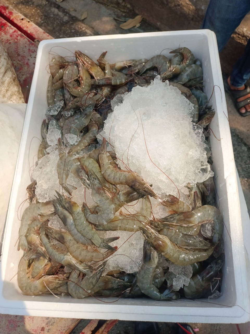 เจ้าหน้าที่ศูนย์บริหารจัดการด่านตรวจประมงเขต 1 (เชียงราย) ตรวจสอบสินค้าประมง ส่งออกไปยังสาธารณรัฐประชาธิปไตยประชาชนลาว